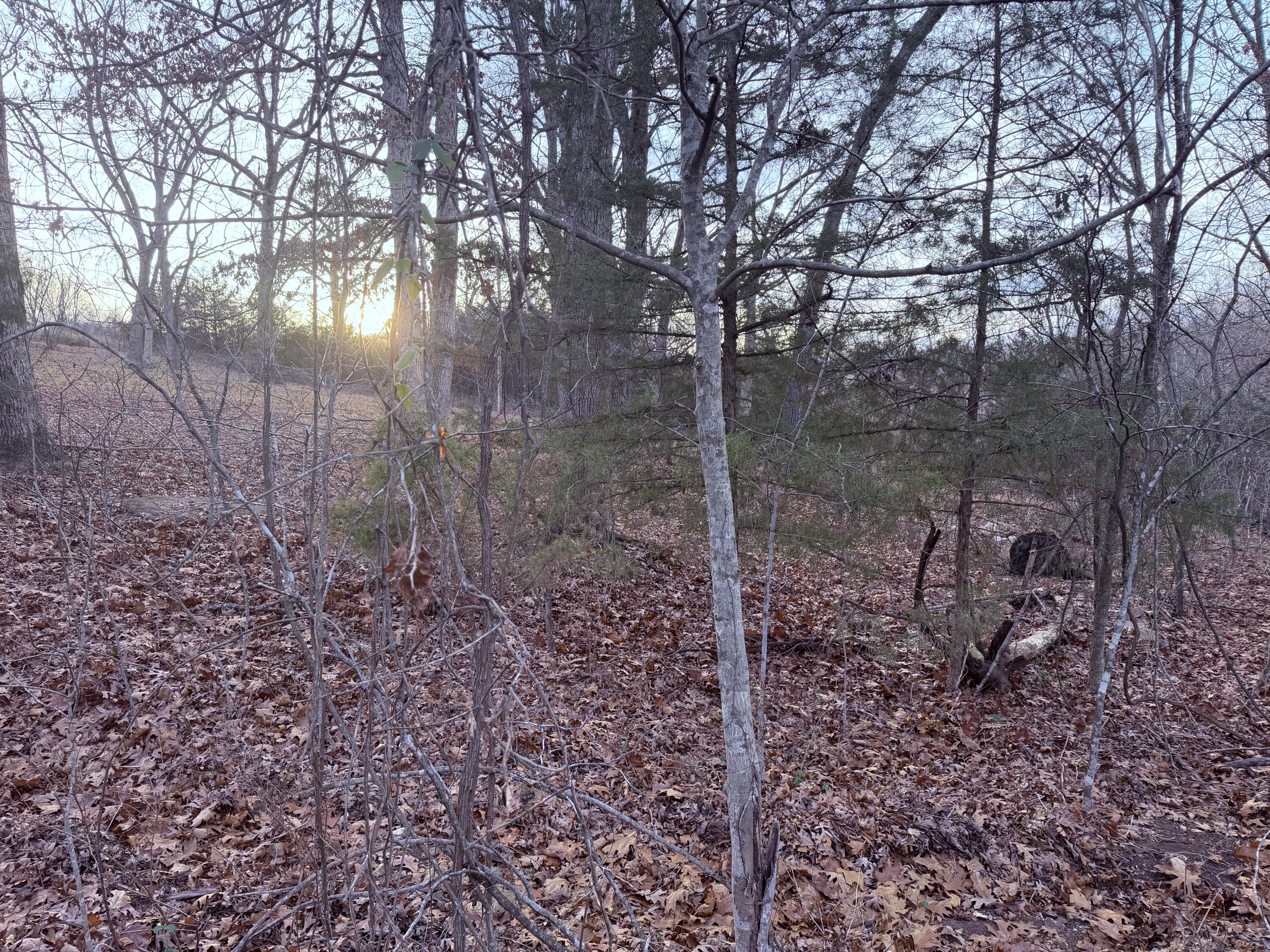 Land for sale – 000 N Dade 173   Greenfield, MO
