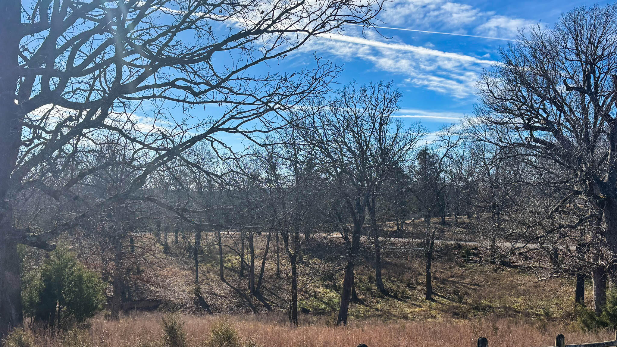Photo 11 - Land for sale – Tbd  County Road 640   Theodosia, MO