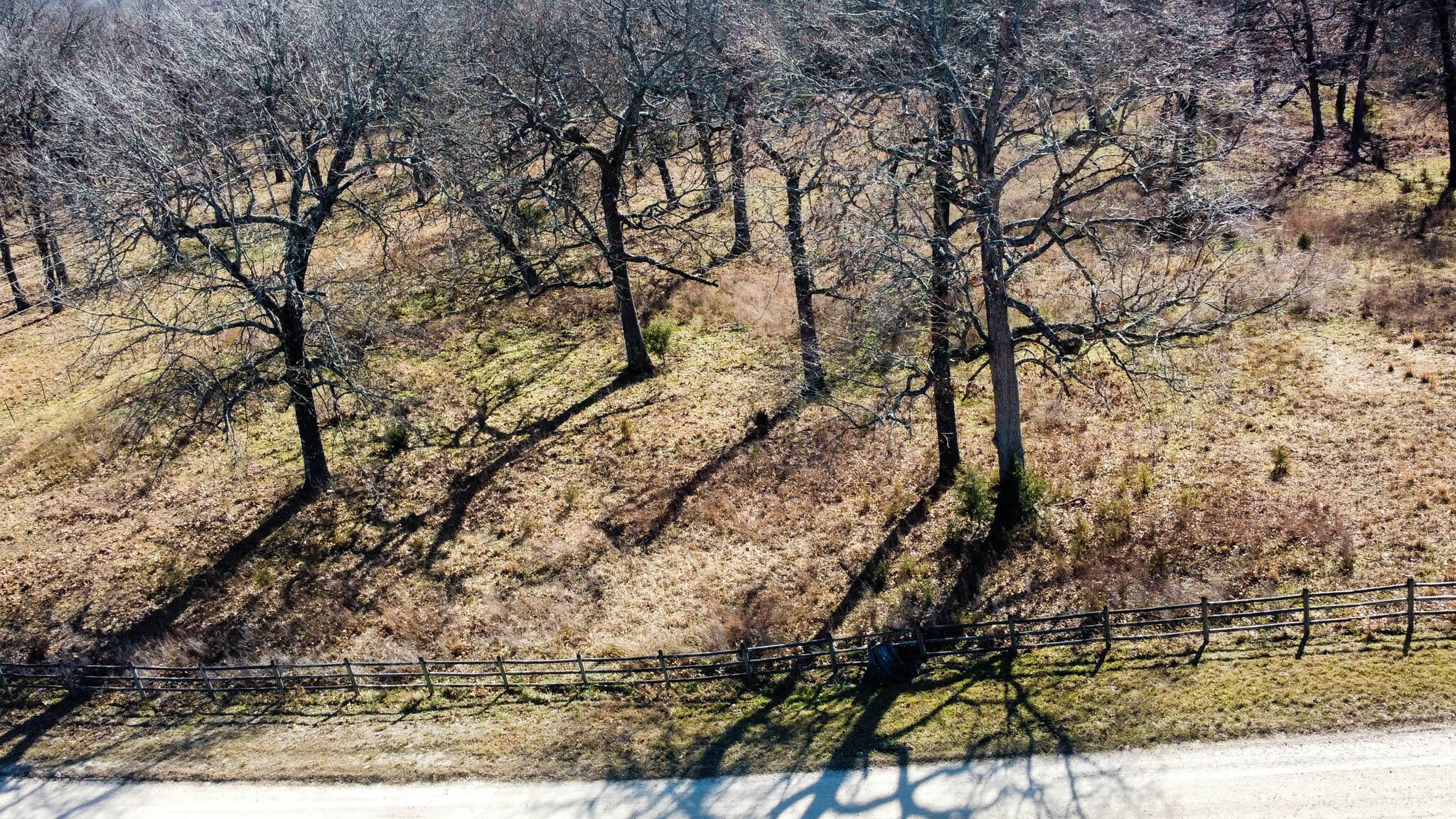 Photo 4 - Land for sale – Tbd  County Road 640   Theodosia, MO