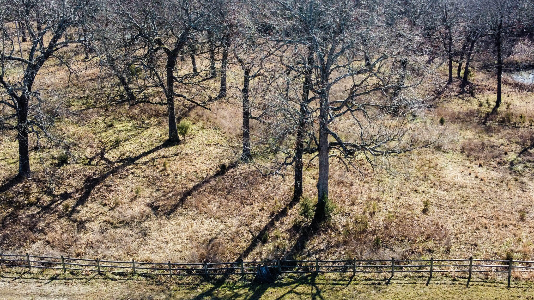 Photo 3 - Land for sale – Tbd  County Road 640   Theodosia, MO