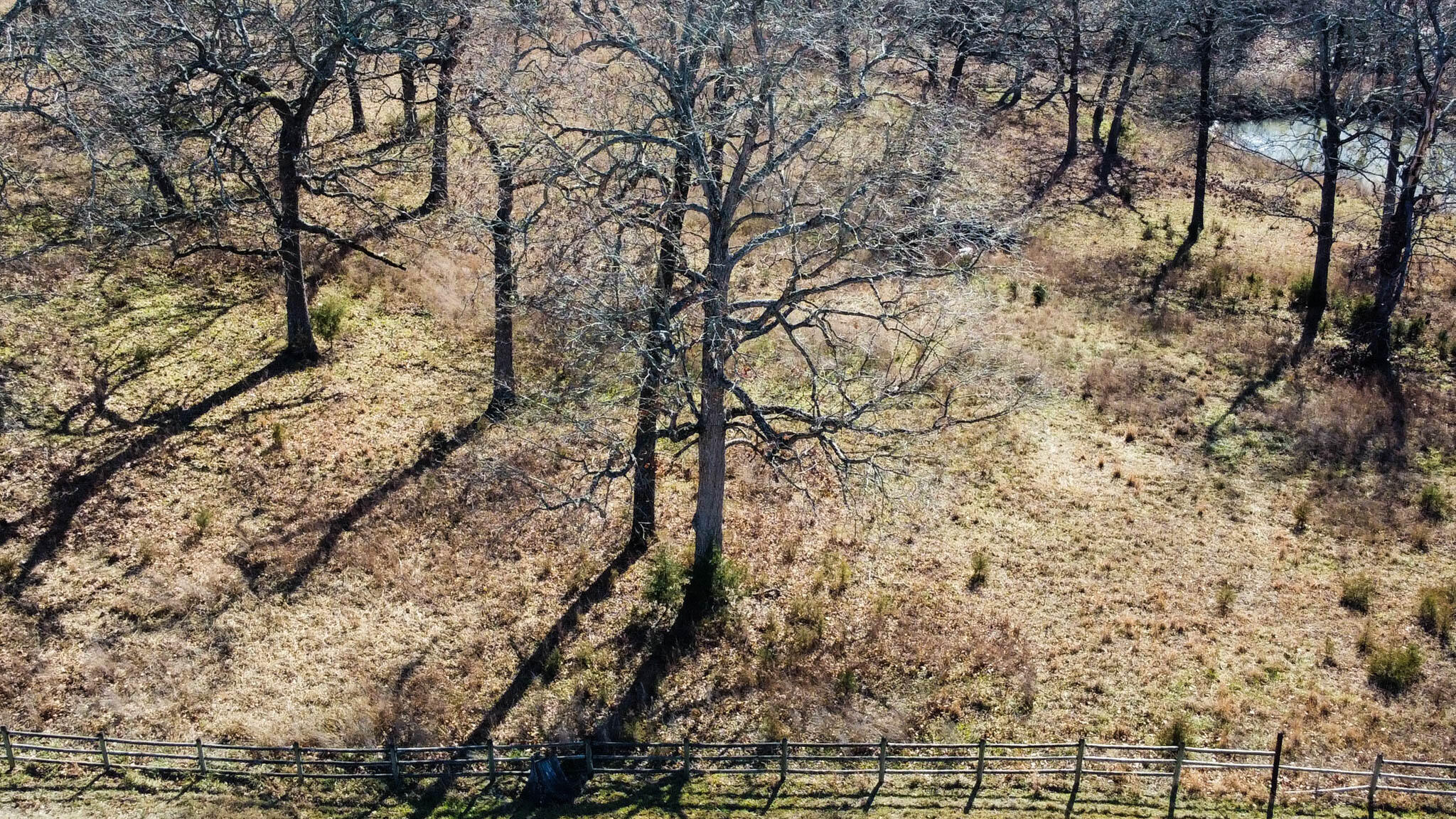 Photo 6 - Land for sale – Tbd  County Road 640   Theodosia, MO