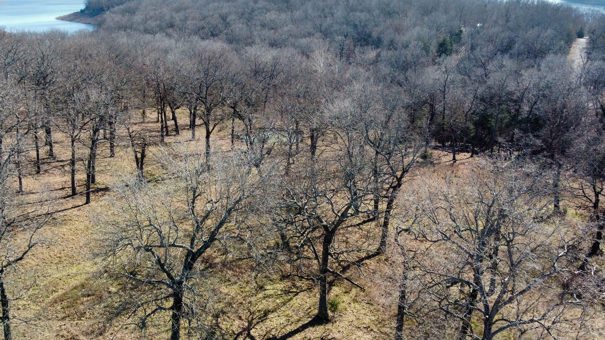 Photo 8 - Land for sale – Tbd  County Road 640   Theodosia, MO