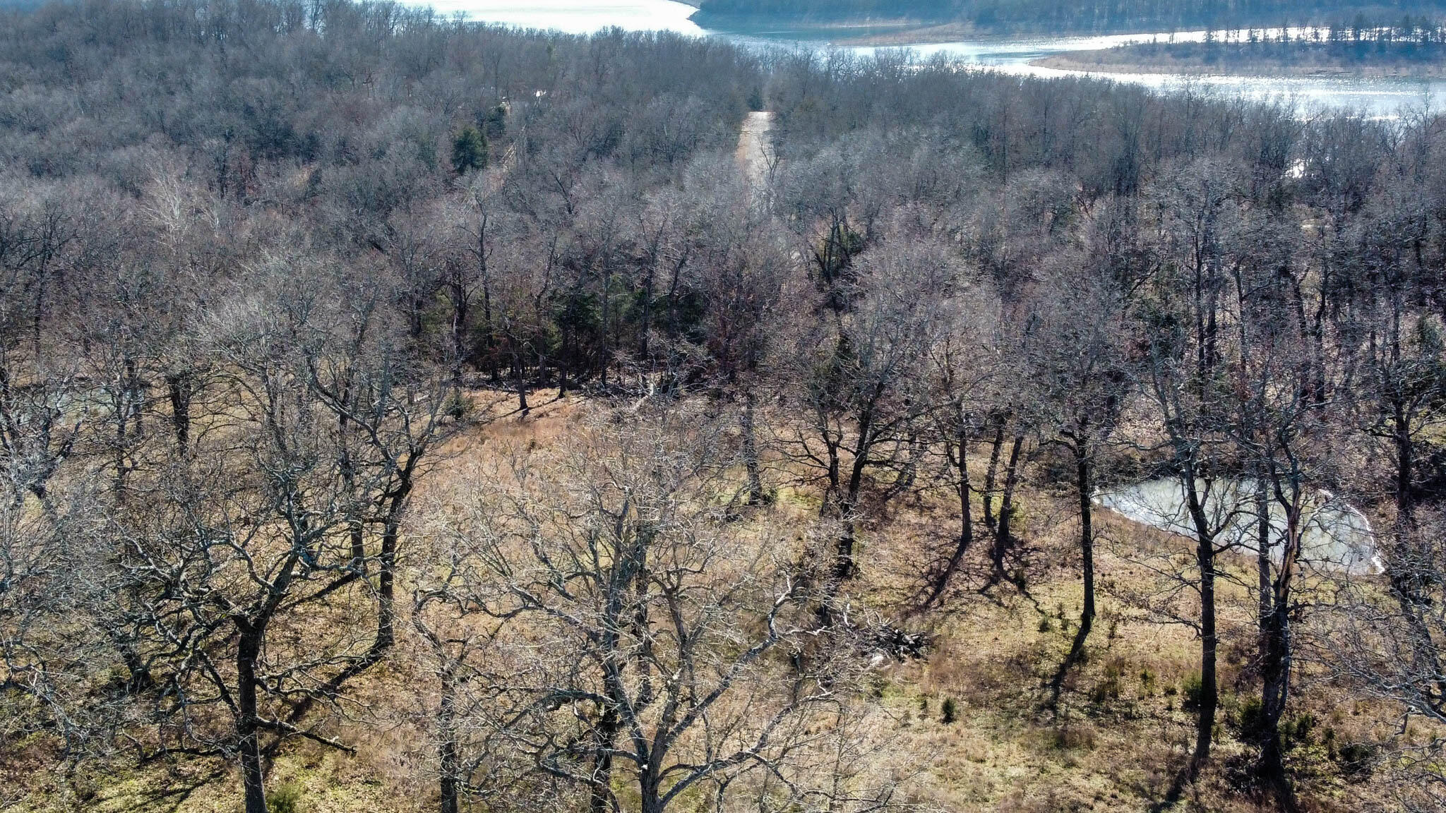 Photo 7 - Land for sale – Tbd  County Road 640   Theodosia, MO