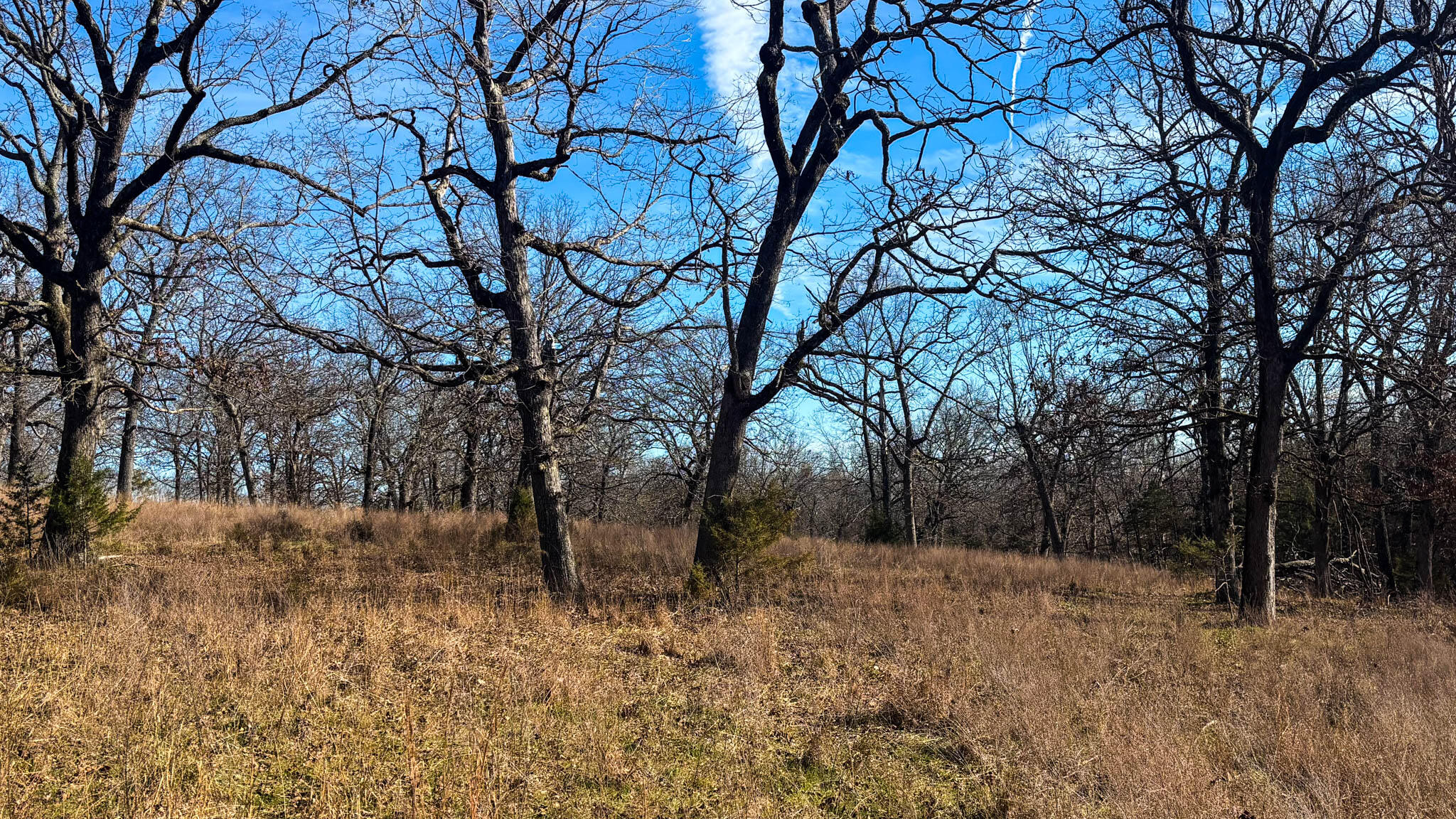 Photo 13 - Land for sale – Tbd  County Road 640   Theodosia, MO