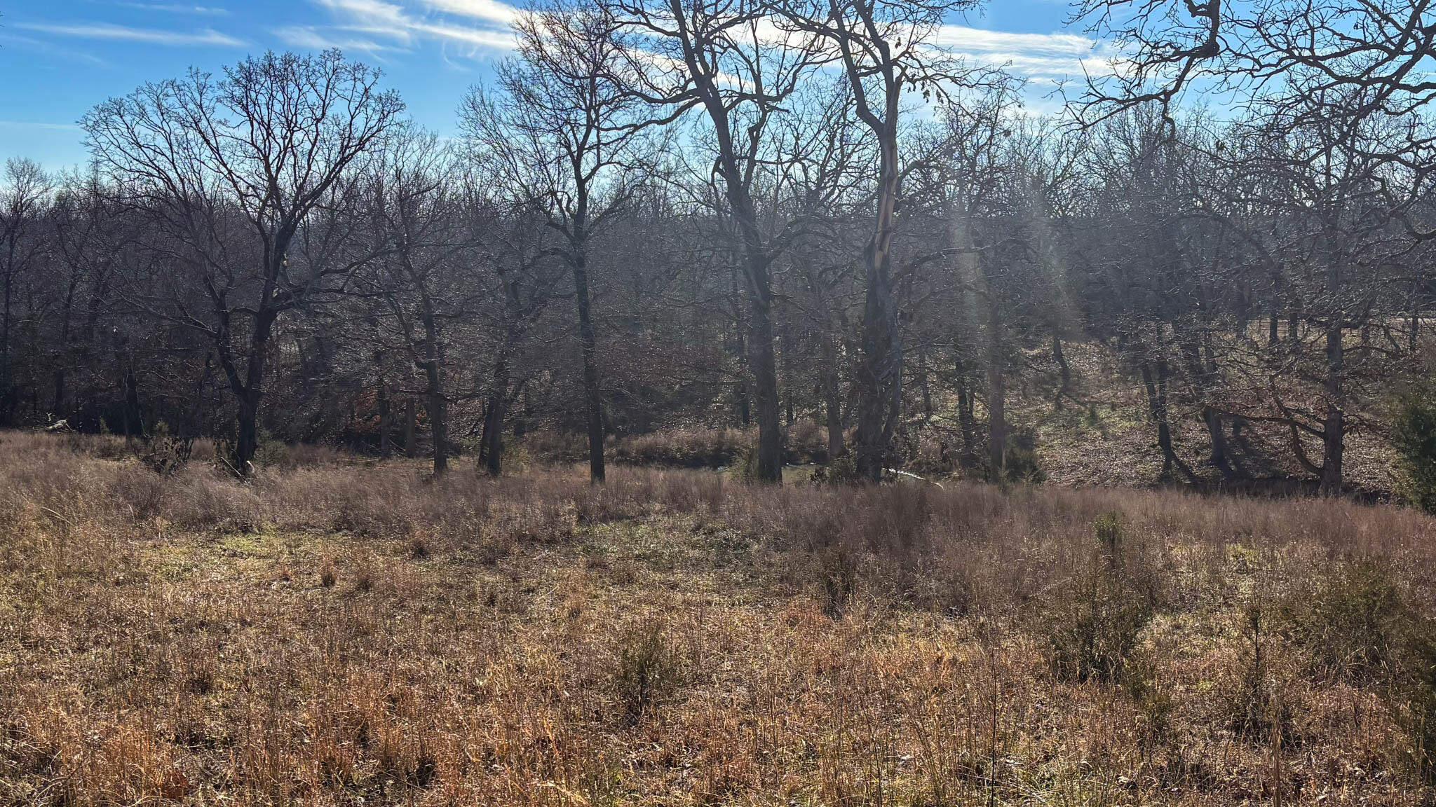 Photo 10 - Land for sale – Tbd  County Road 640   Theodosia, MO