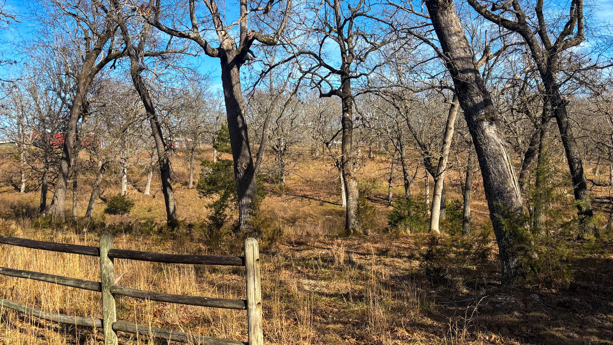 Photo 15 - Land for sale – Tbd  County Road 640   Theodosia, MO