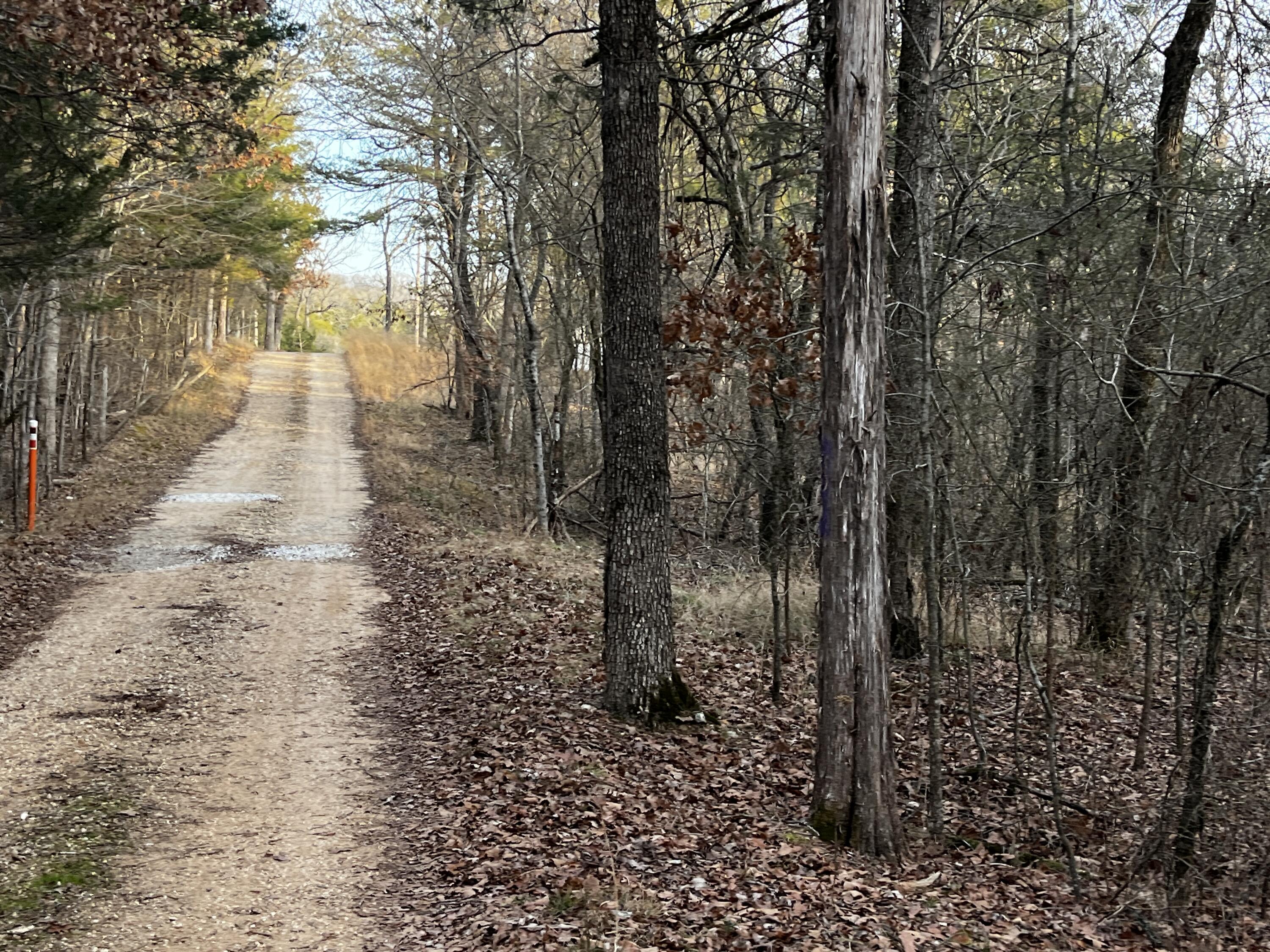 Photo 5 - Land for sale – 000  Cougar Lane  Eagle Rock, MO