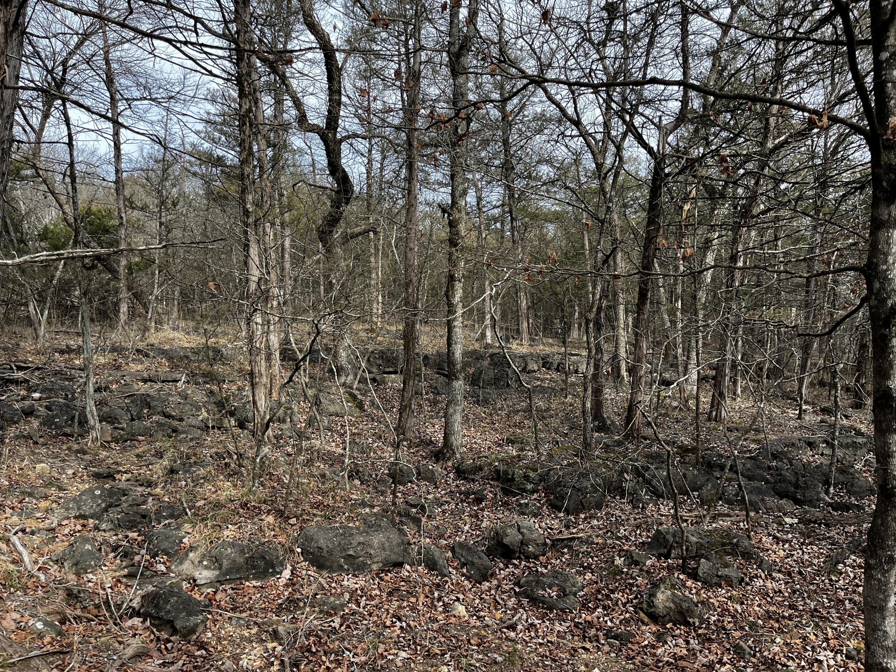 Photo 7 - Land for sale – 000  Cougar Lane  Eagle Rock, MO