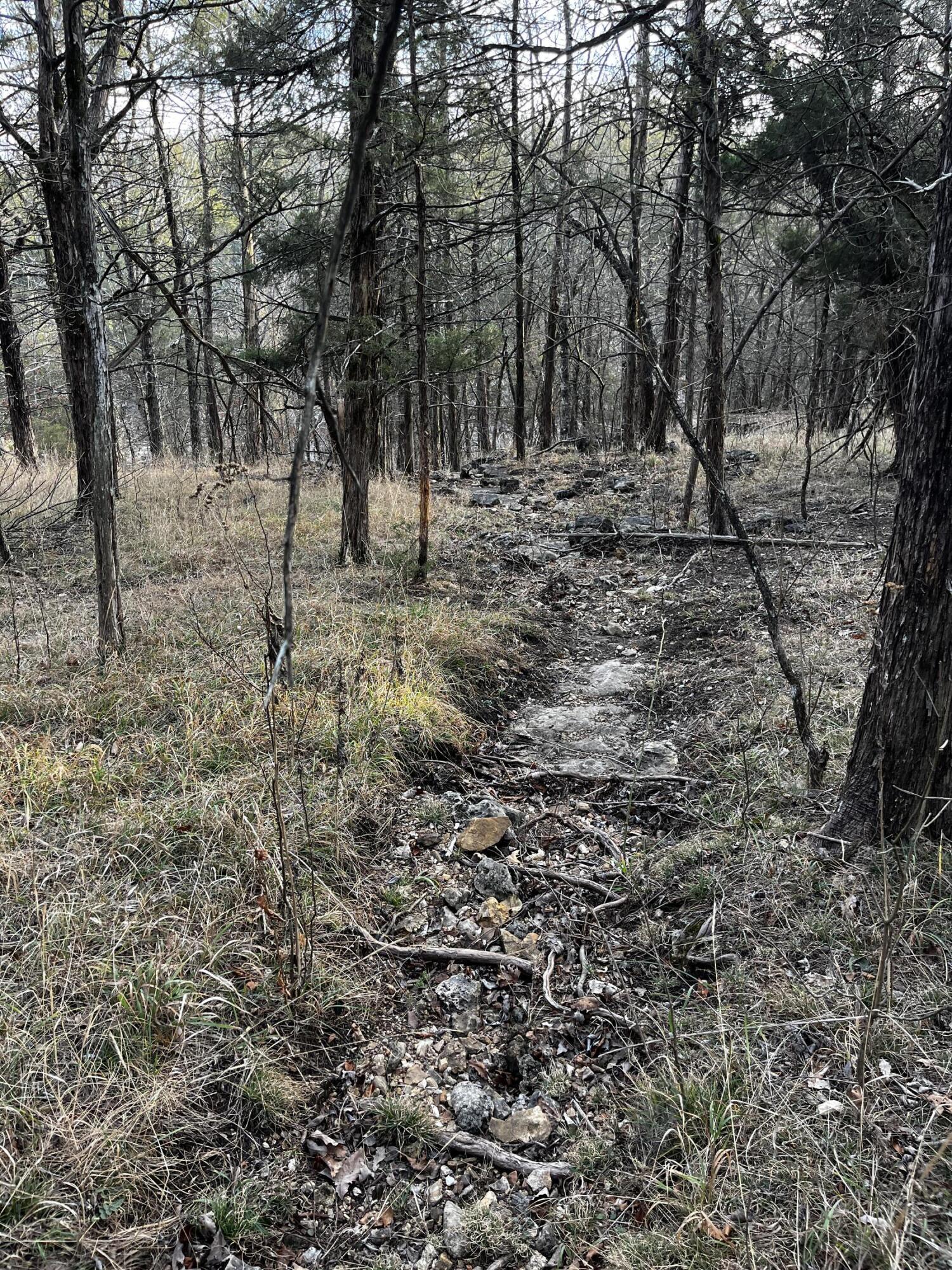 Photo 3 - Land for sale – 000  Cougar Lane  Eagle Rock, MO