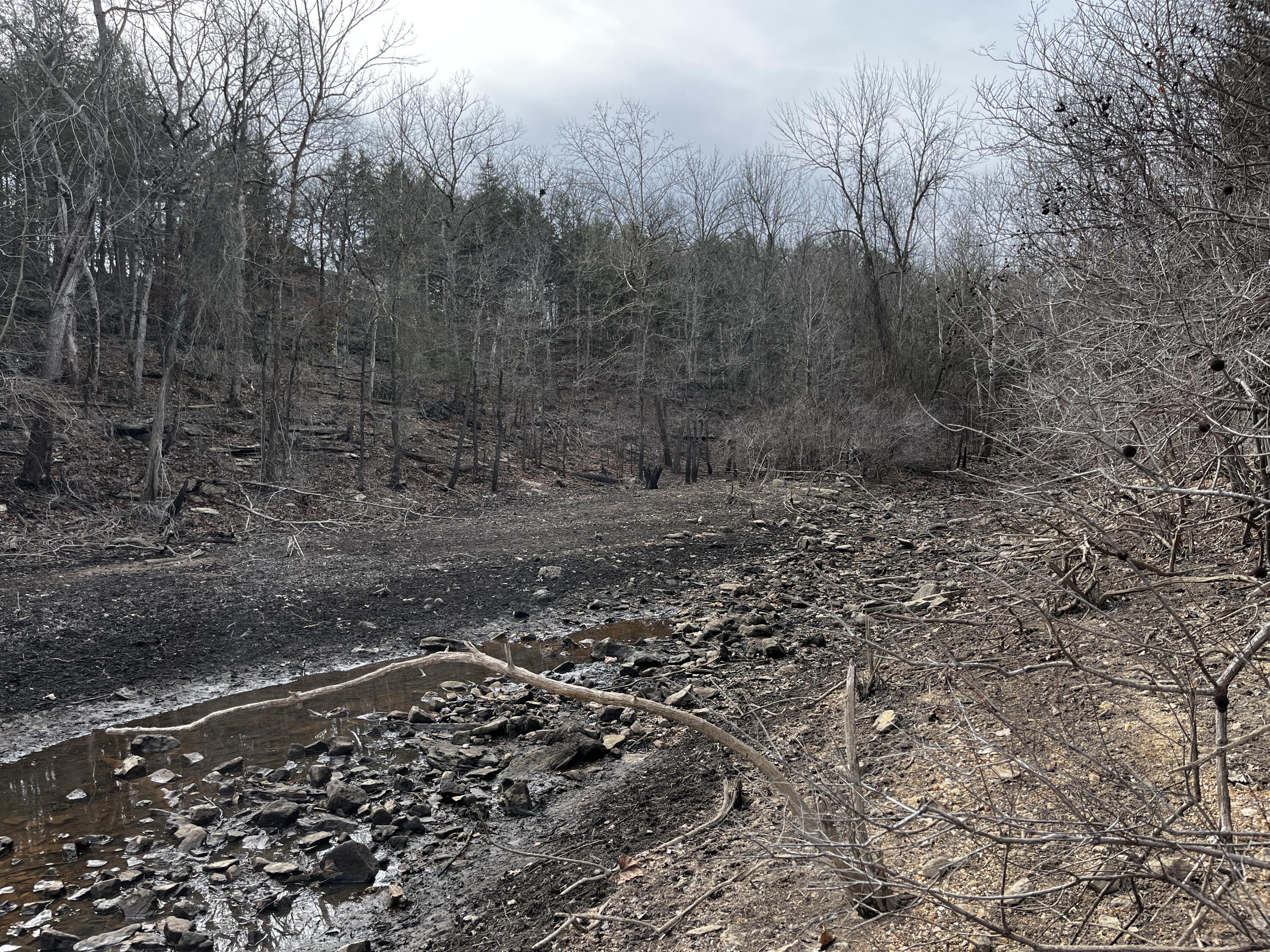 Photo 6 - Land for sale – 000  Cougar Lane  Eagle Rock, MO