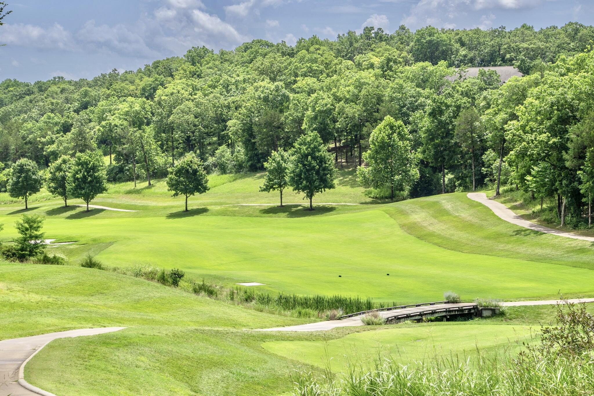 Photo 23 - Land for sale – 140  Pinehurst   Branson, MO