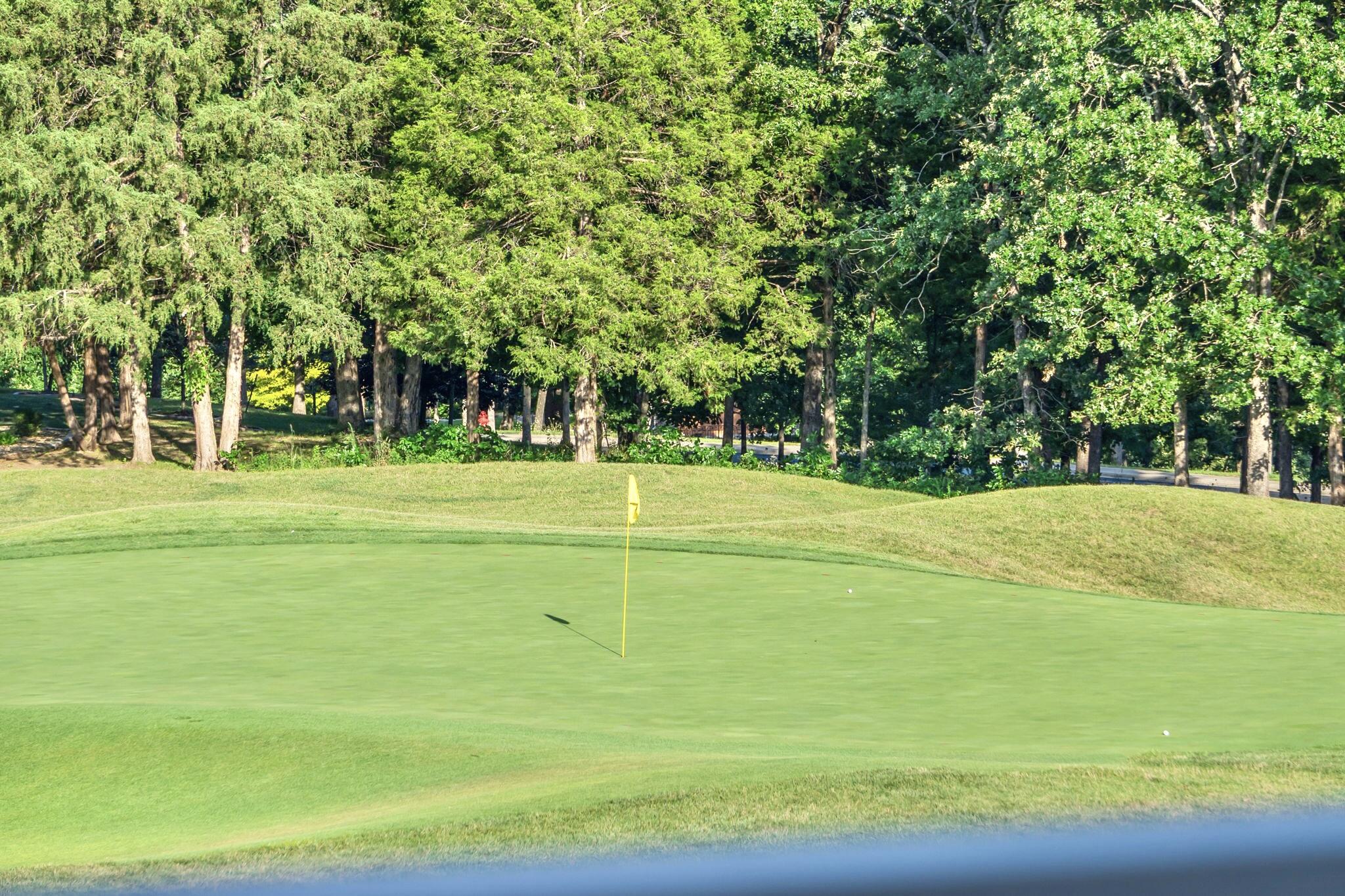 Photo 27 - Land for sale – 140  Pinehurst   Branson, MO