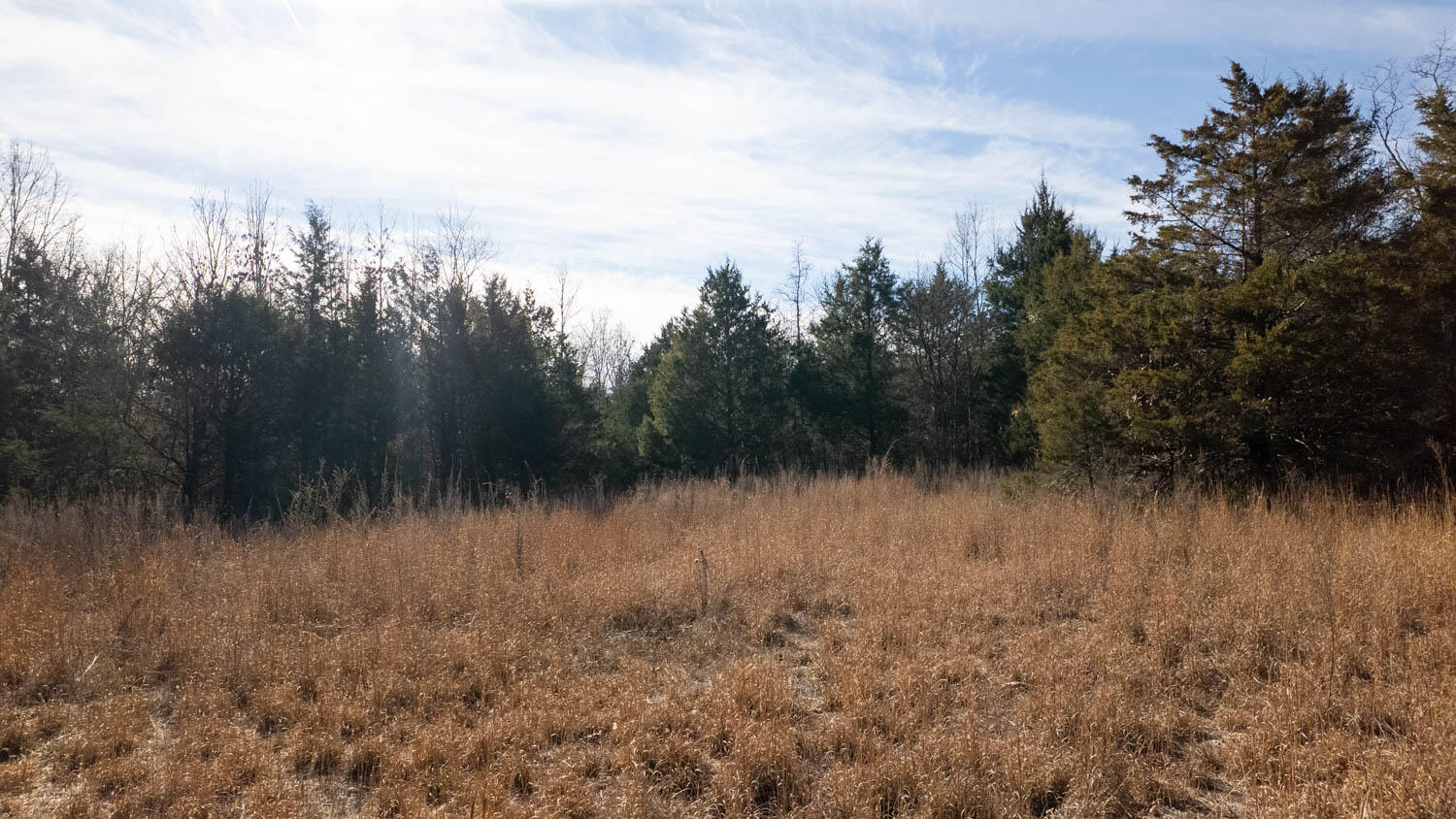 Photo 13 - Residential for sale – 1789  County Road 226   Alton, MO