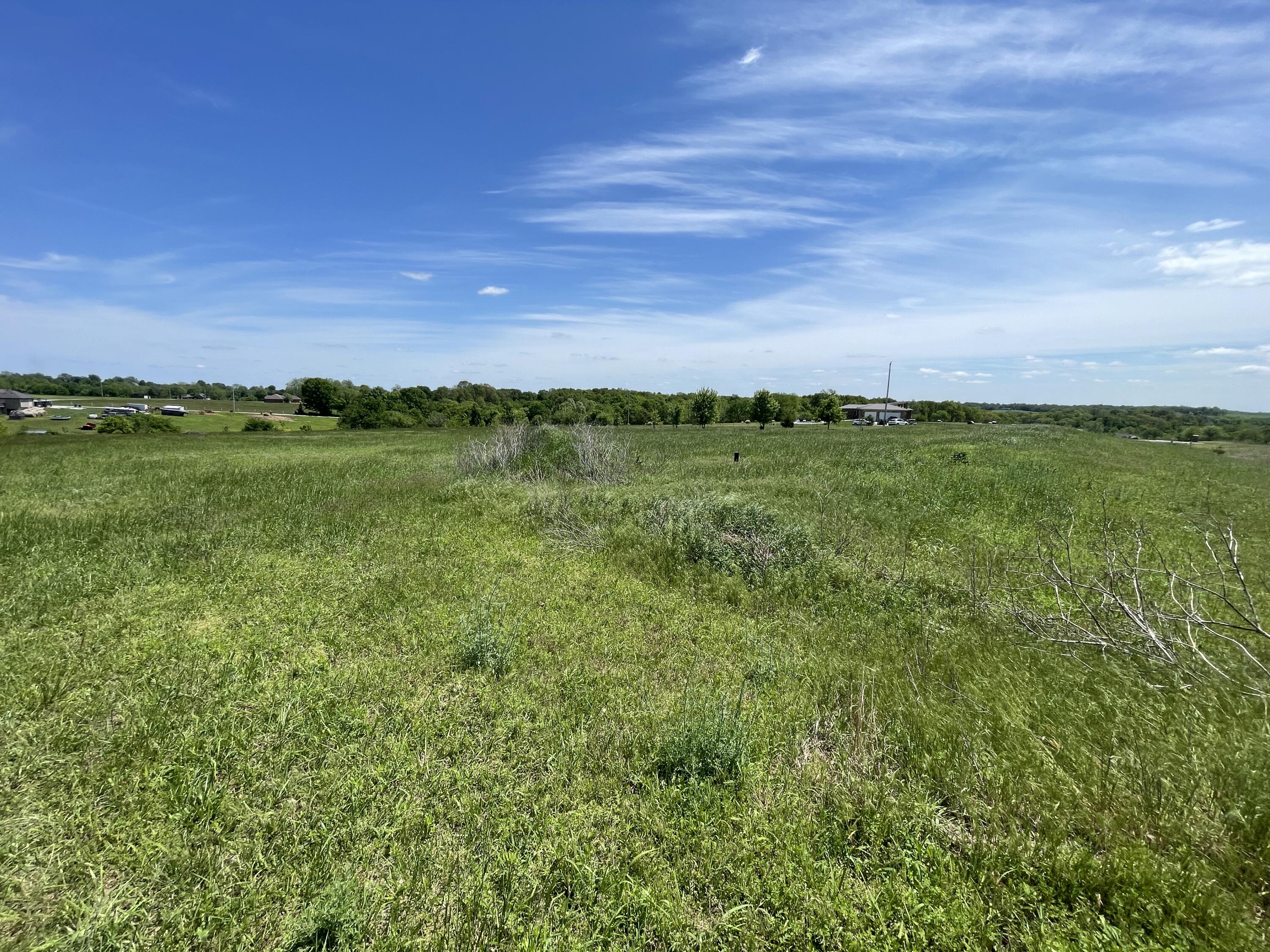Photo 4 - Land for sale – 000  Terrell Valley Drive  Republic, MO