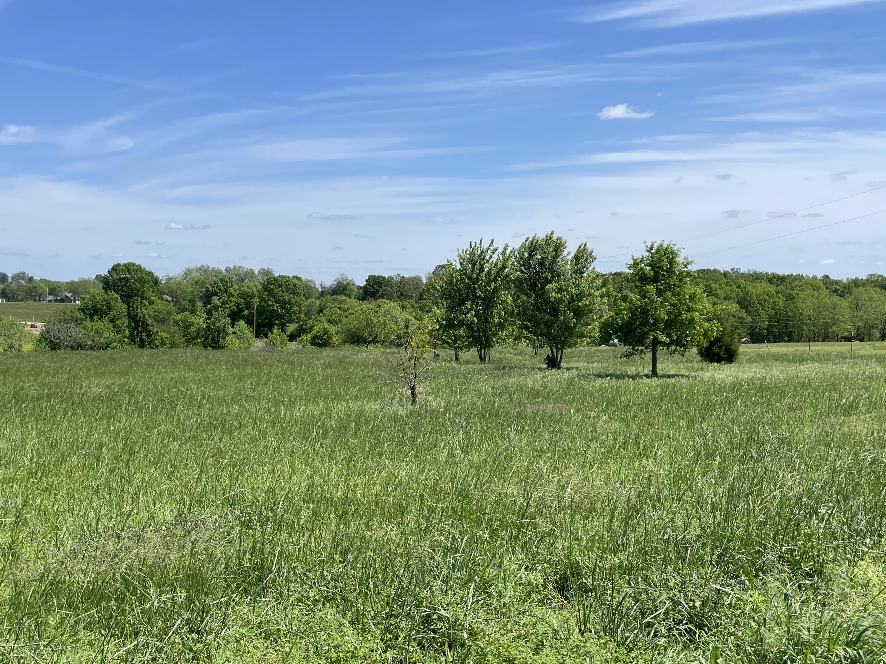 Photo 3 - Land for sale – 000  Terrell Valley Drive  Republic, MO