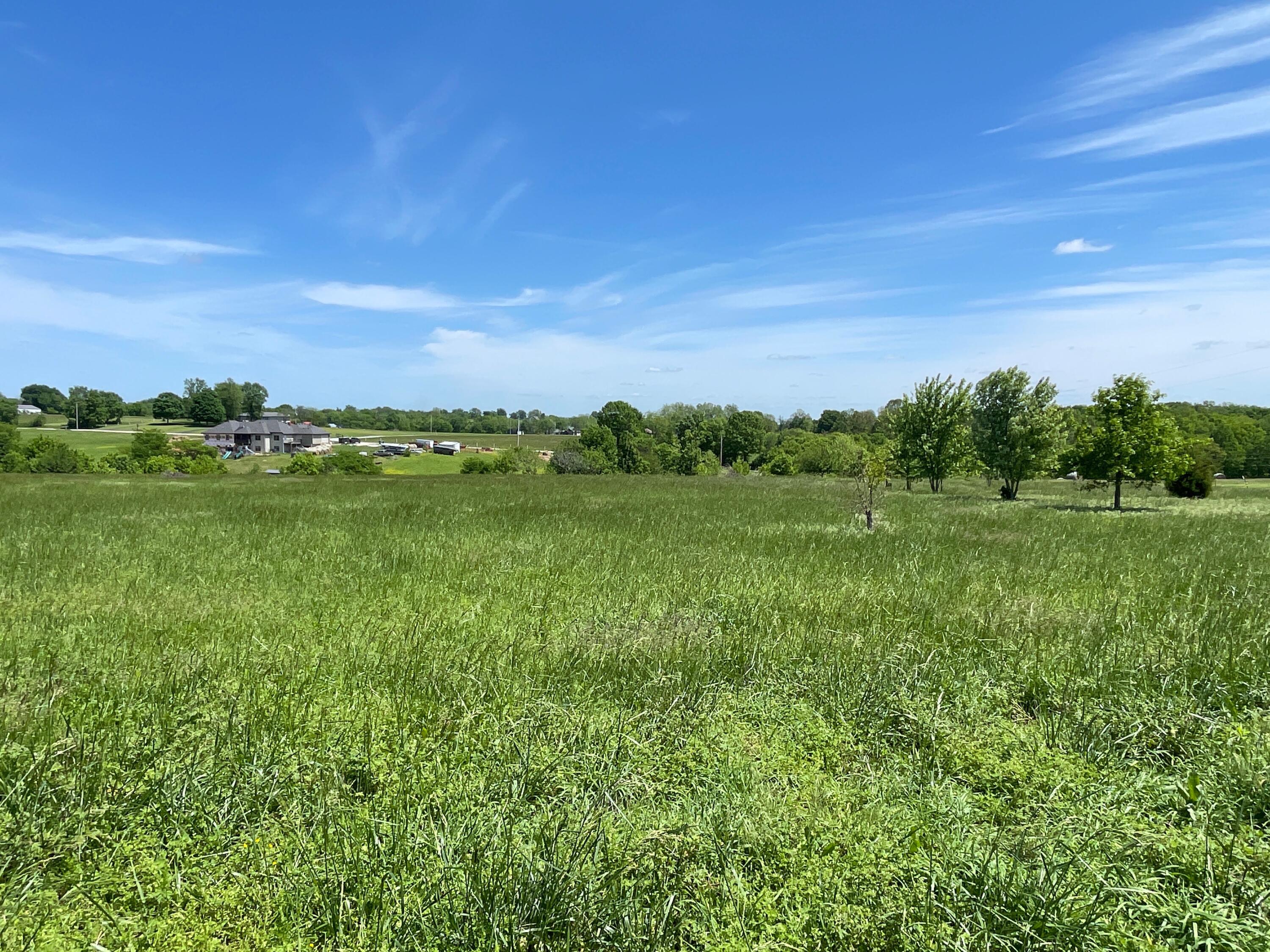 Photo 5 - Land for sale – 000  Terrell Valley Drive  Republic, MO
