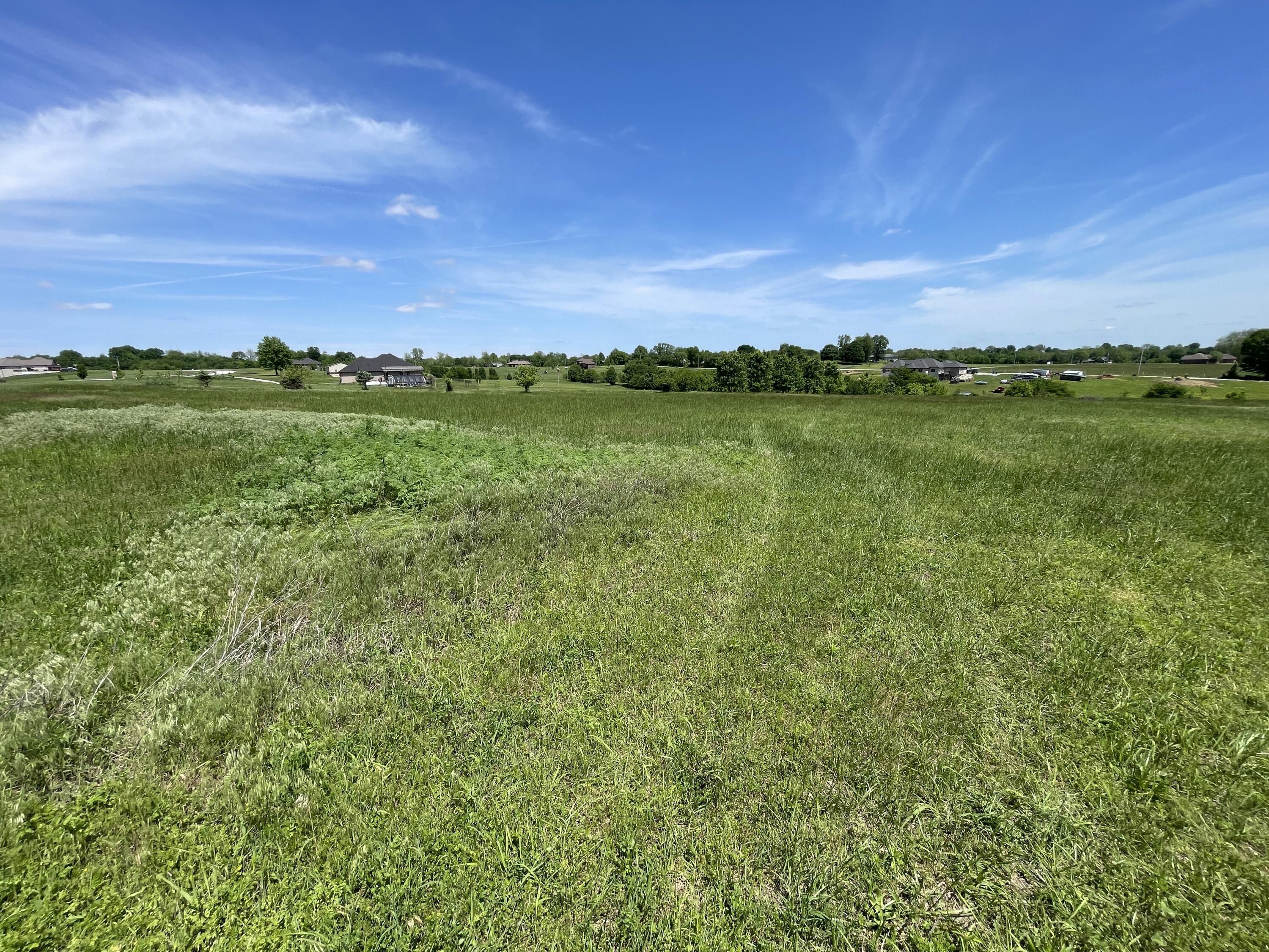 Photo 7 - Land for sale – 000  Terrell Valley Drive  Republic, MO