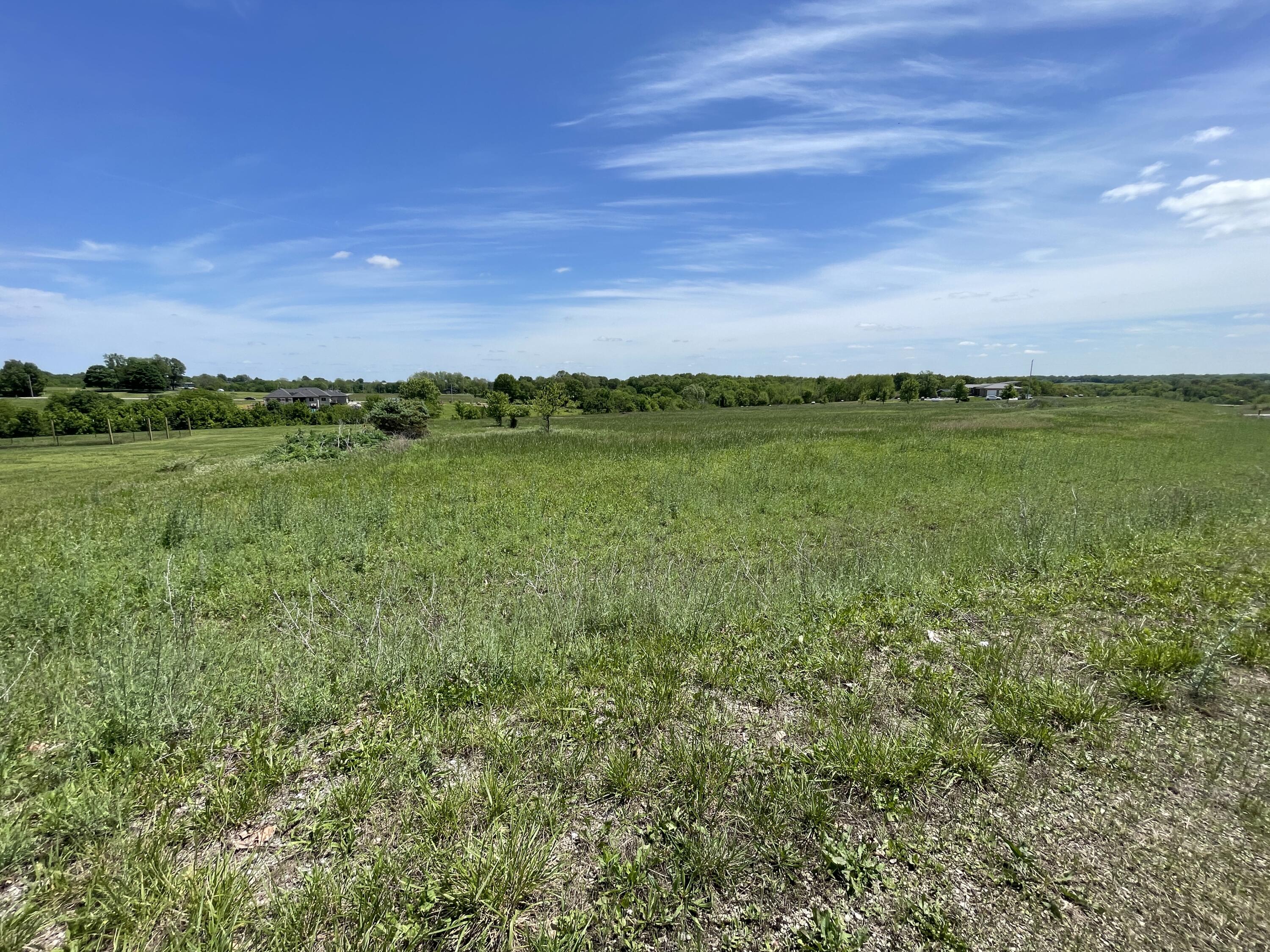 Photo 9 - Land for sale – 000  Terrell Valley Drive  Republic, MO