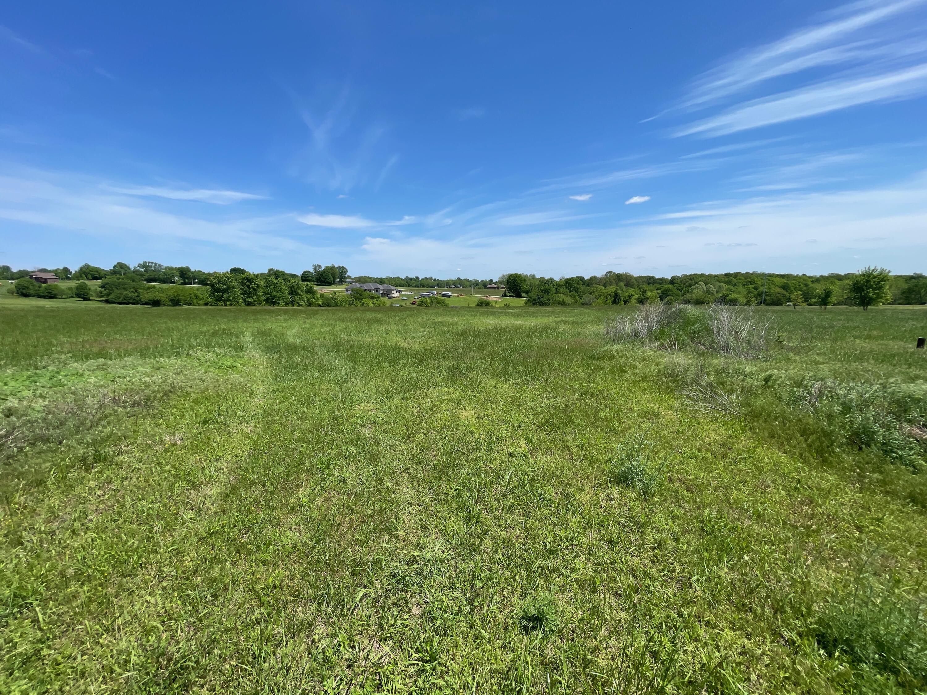 Photo 6 - Land for sale – 000  Terrell Valley Drive  Republic, MO
