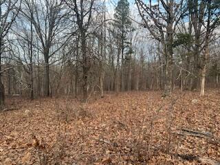 Photo 63 - Residential for sale – 15620  County Road Ww-A   Summersville, MO