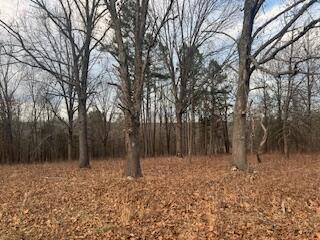 Photo 61 - Residential for sale – 15620  County Road Ww-A   Summersville, MO