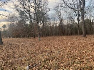 Photo 62 - Residential for sale – 15620  County Road Ww-A   Summersville, MO