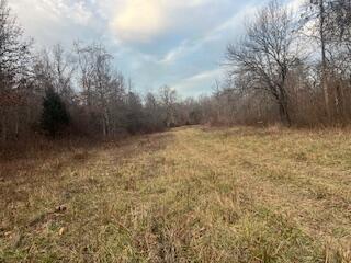 Photo 59 - Residential for sale – 15620  County Road Ww-A   Summersville, MO