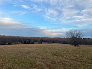 Photo 54 - Residential for sale – 15620  County Road Ww-A   Summersville, MO