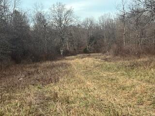 Photo 58 - Residential for sale – 15620  County Road Ww-A   Summersville, MO