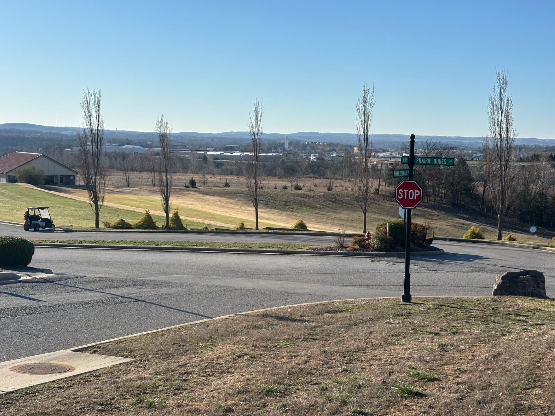 Photo 4 - Commercial Sale for sale – 000  Phase 2 Lot 68   Branson, MO
