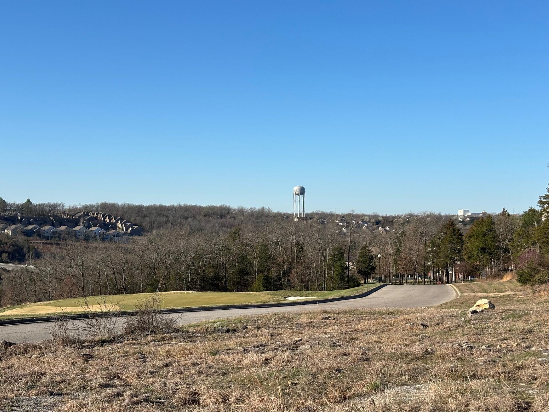 Photo 3 - Commercial Sale for sale – 000  Phase 2 Lot 68   Branson, MO