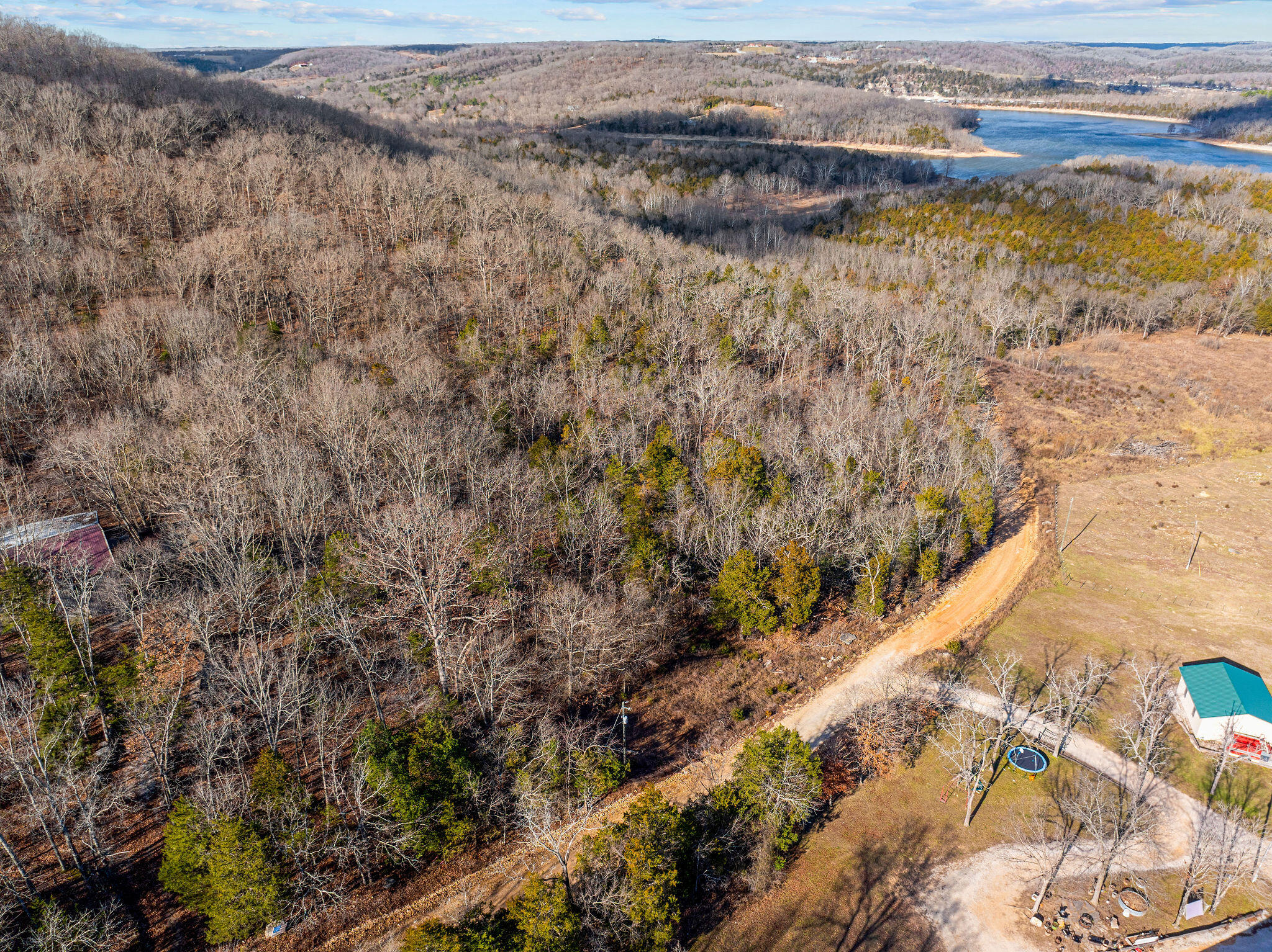 Photo 6 - Land for sale – 000  Enon Road  Omaha, AR