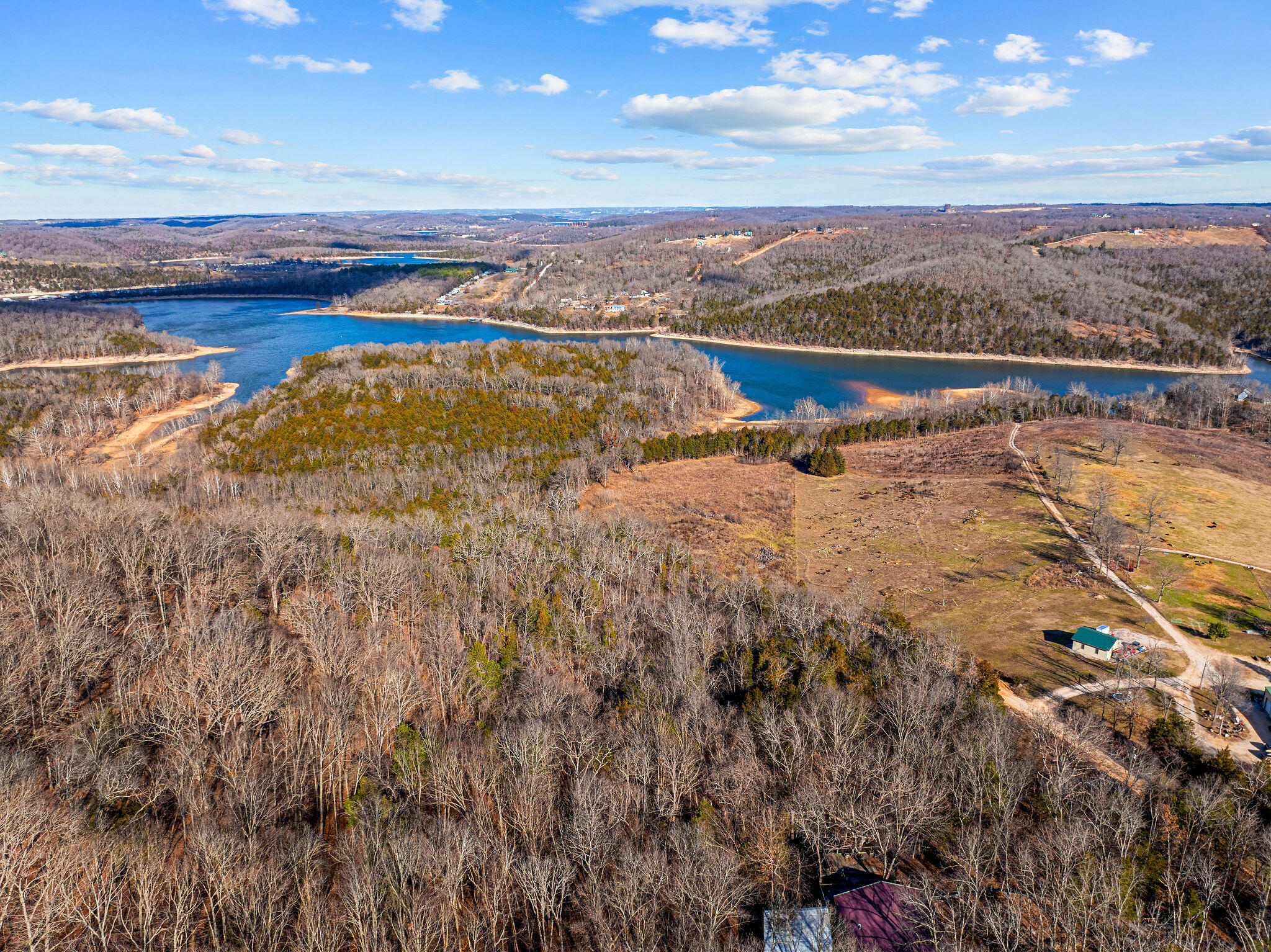 Photo 4 - Land for sale – 000  Enon Road  Omaha, AR