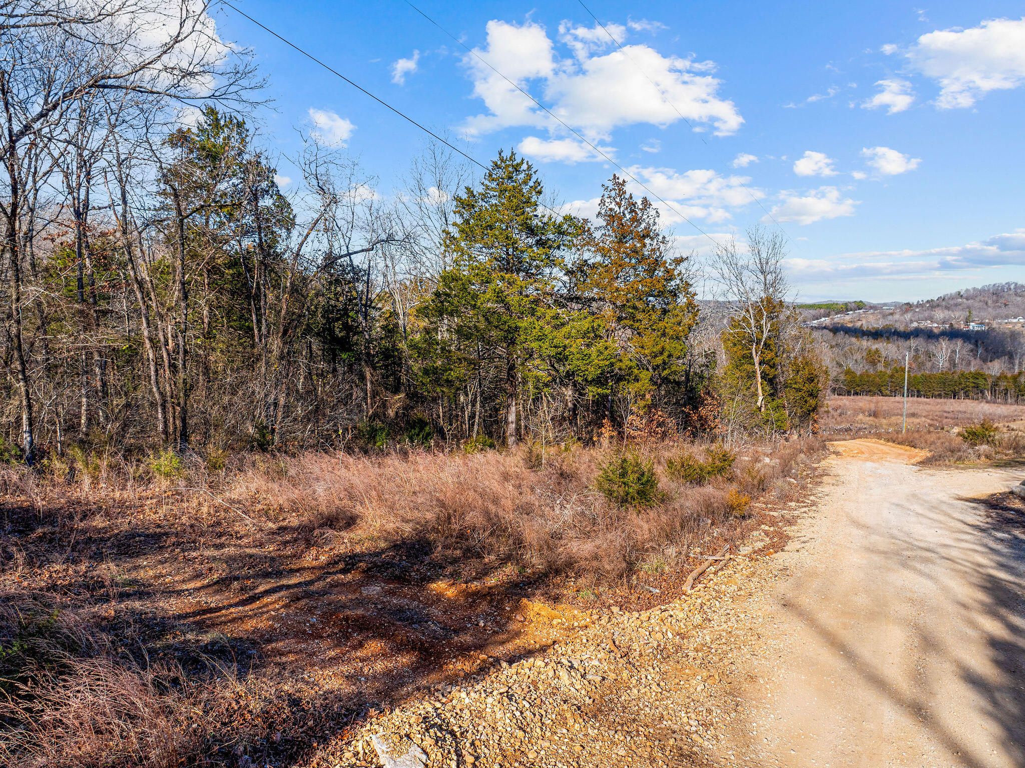 Photo 8 - Land for sale – 000  Enon Road  Omaha, AR