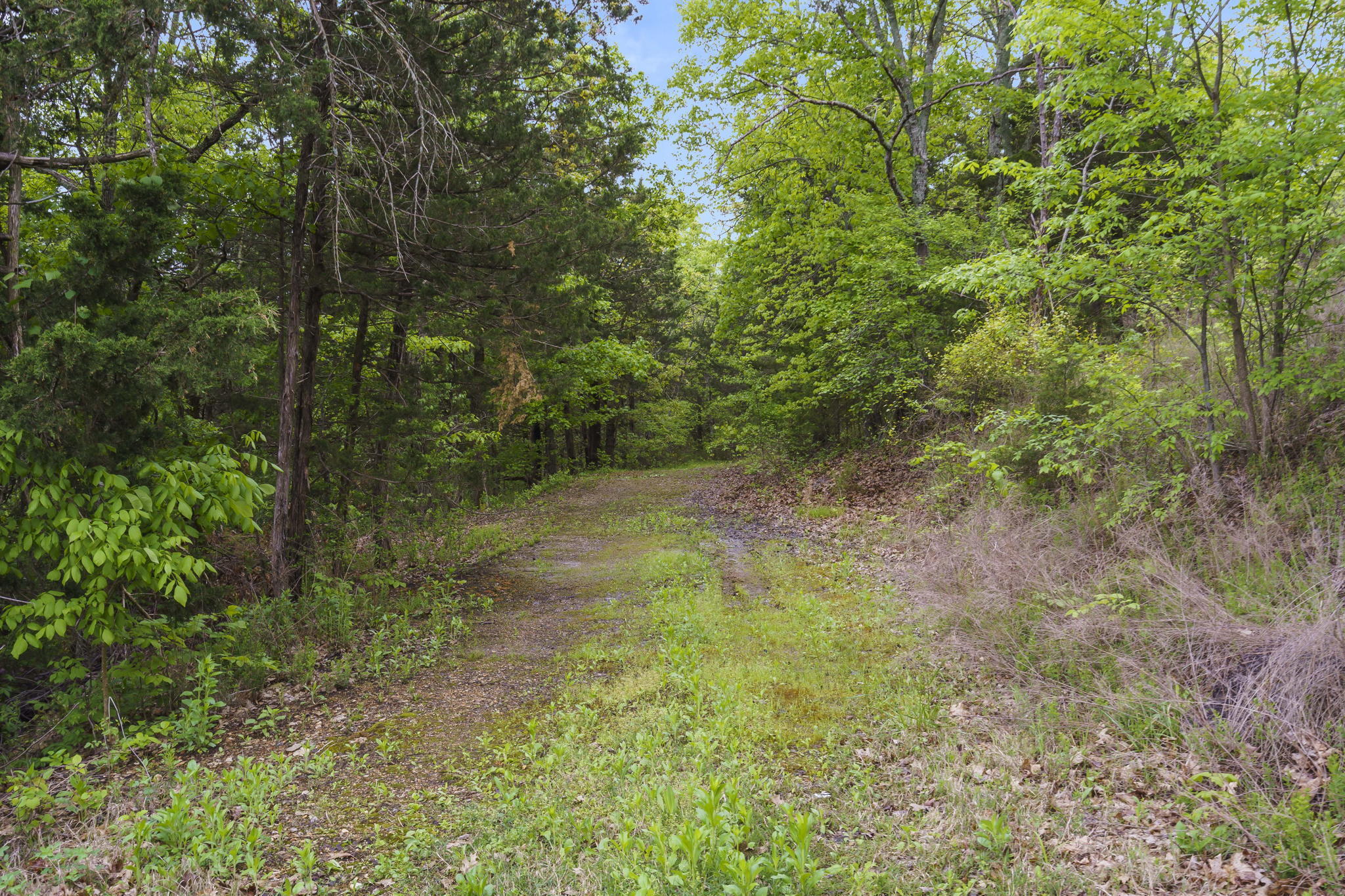 Photo 46 - Residential for sale – 635  Ozark Mountain Resort Drive   Kimberling City, MO
