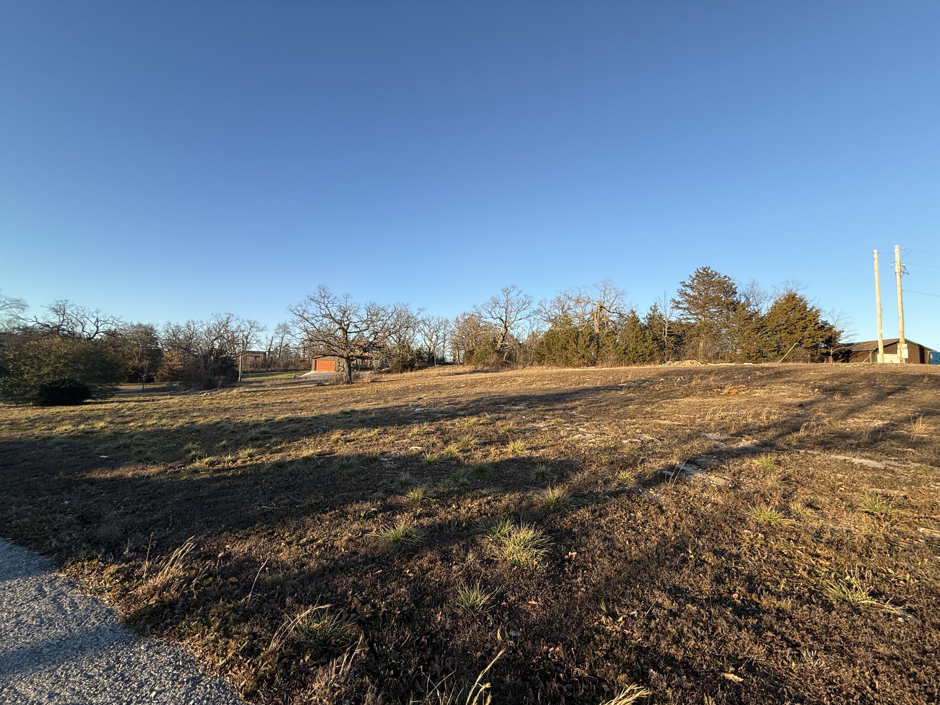 Photo 3 - Land for sale – 000  Clubhouse Lane  Galena, MO