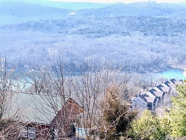 Photo 33 - Residential for sale – 43  Songbird   Branson, MO