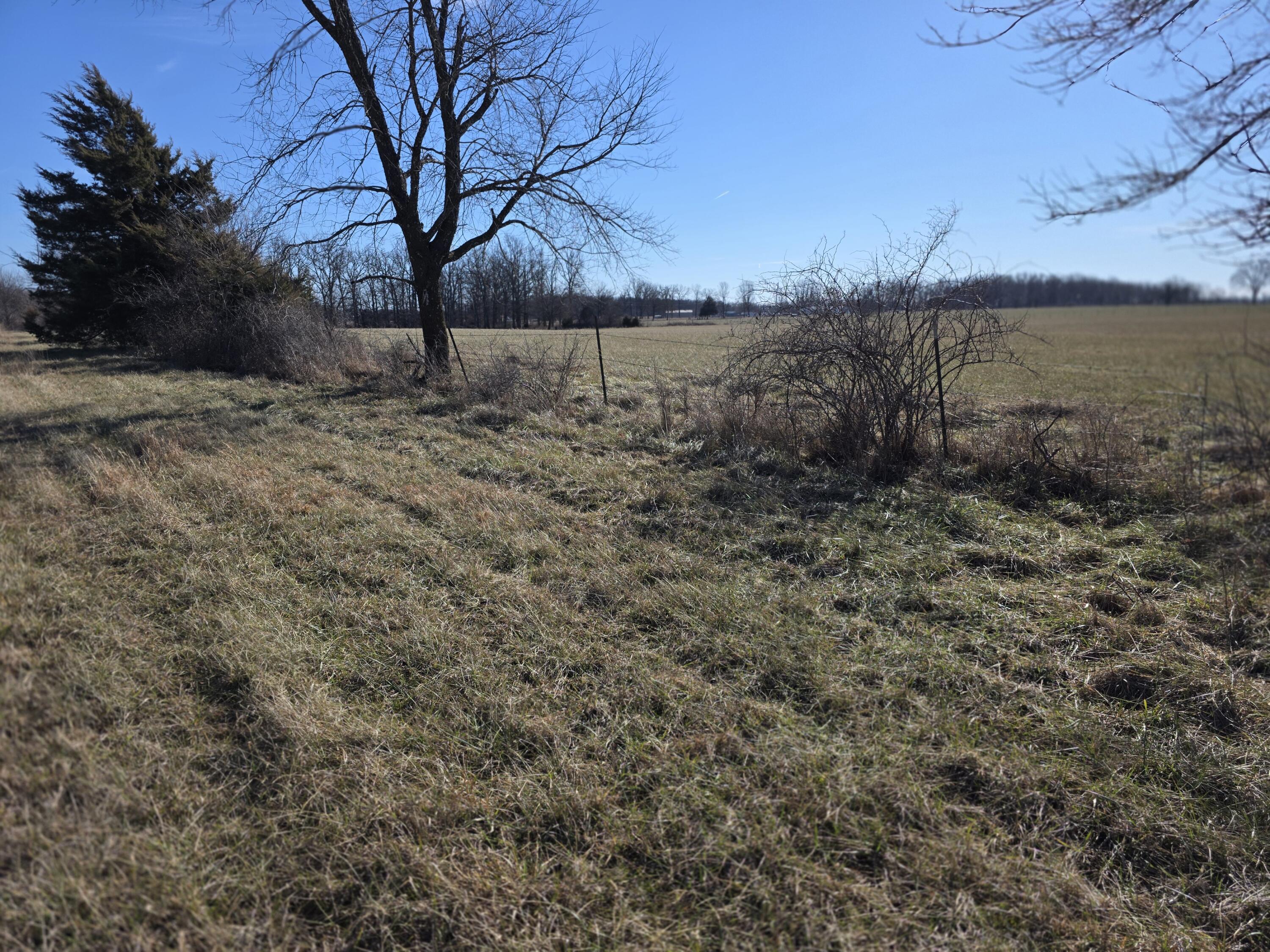 Photo 4 - Land for sale – 369  Oak Lawn   Seymour, MO