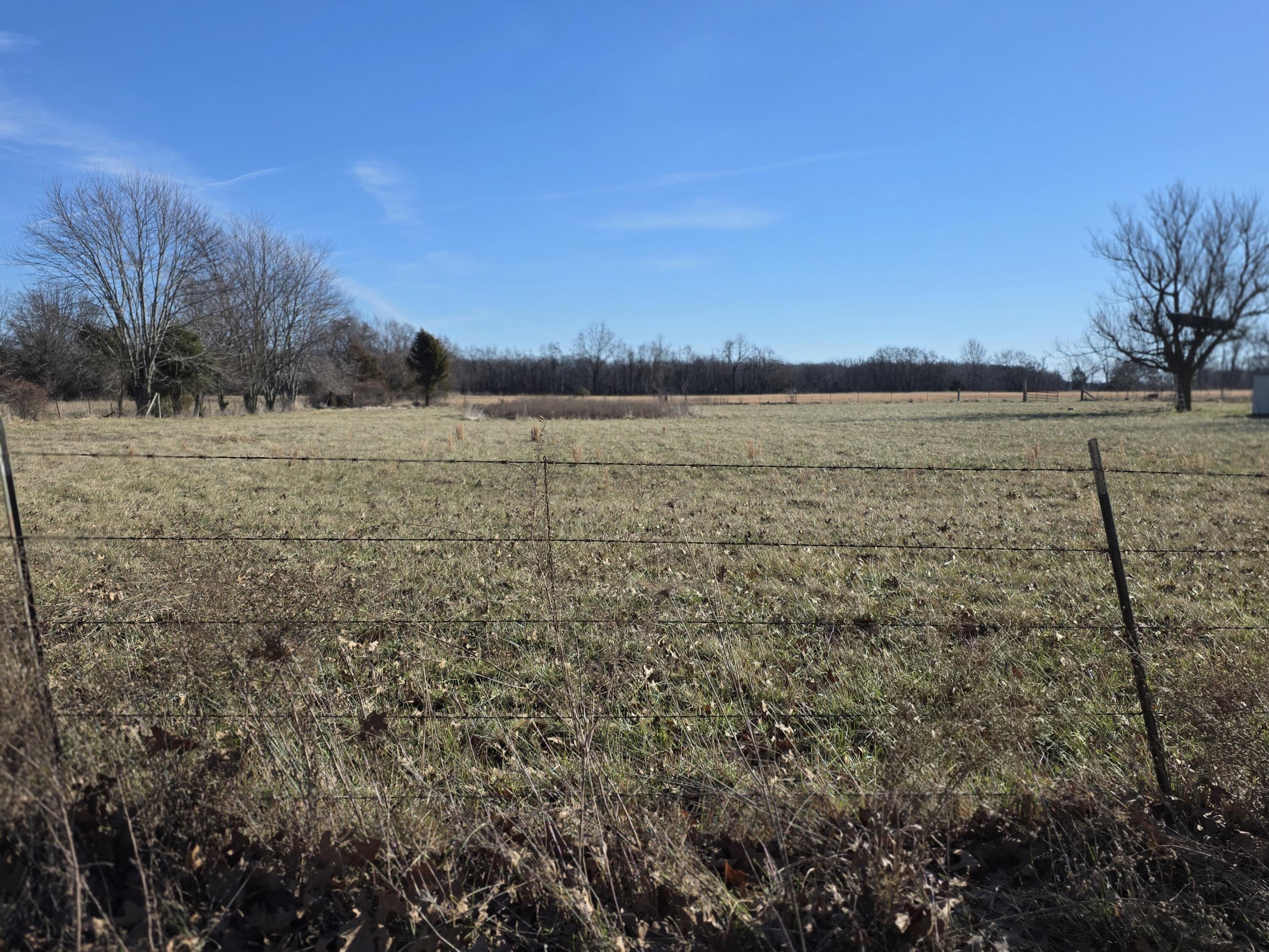 Photo 5 - Land for sale – 369  Oak Lawn   Seymour, MO