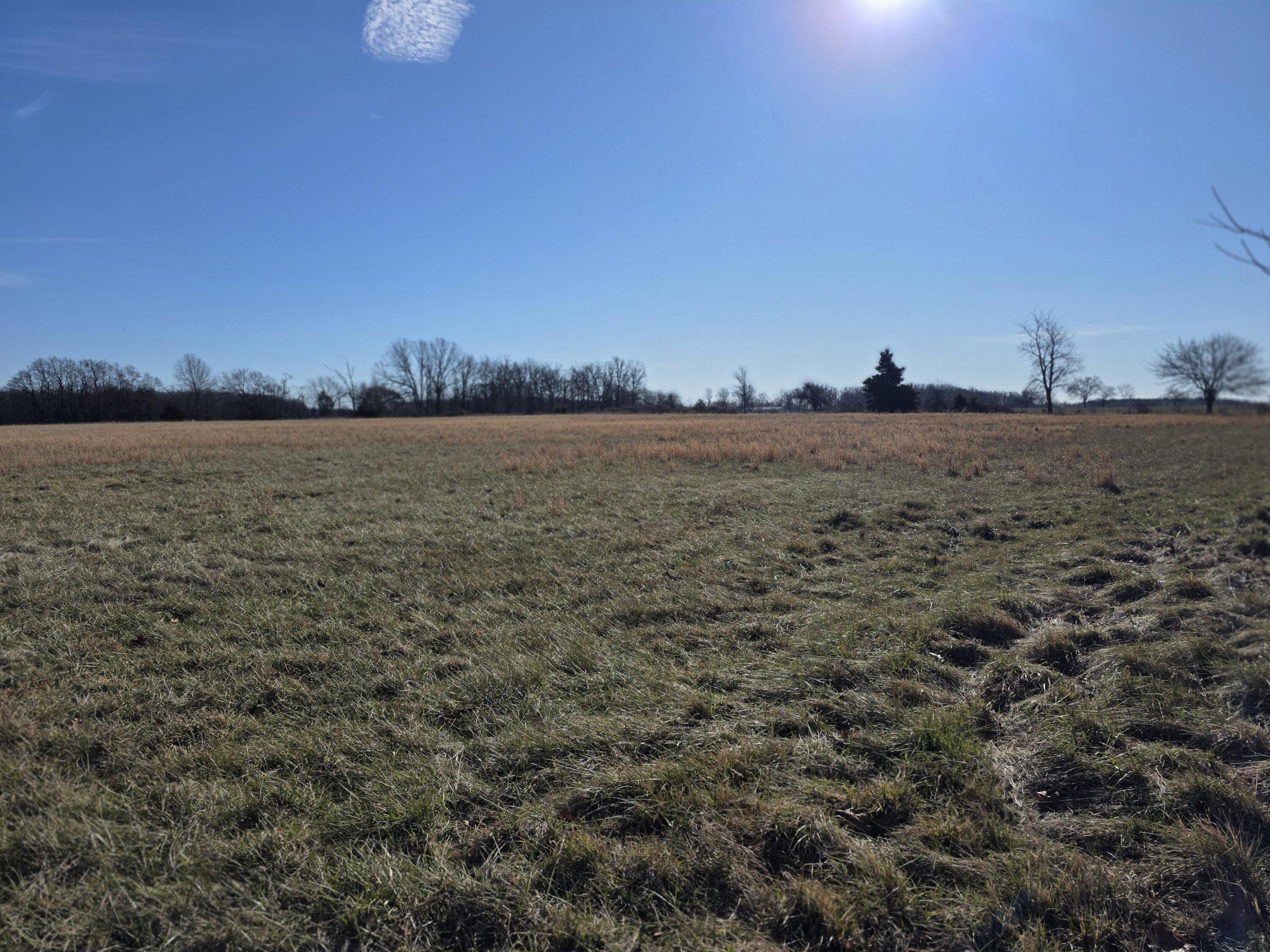 Land for sale – 369  Oak Lawn   Seymour, MO