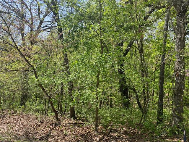 Photo 3 - Land for sale – 0 E Woodlawn Circle  Rogersville, MO