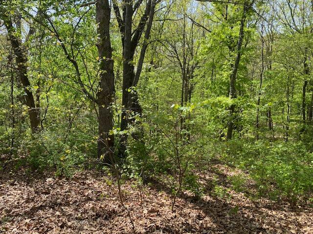 Land for sale – 0 E Woodlawn Circle  Rogersville, MO
