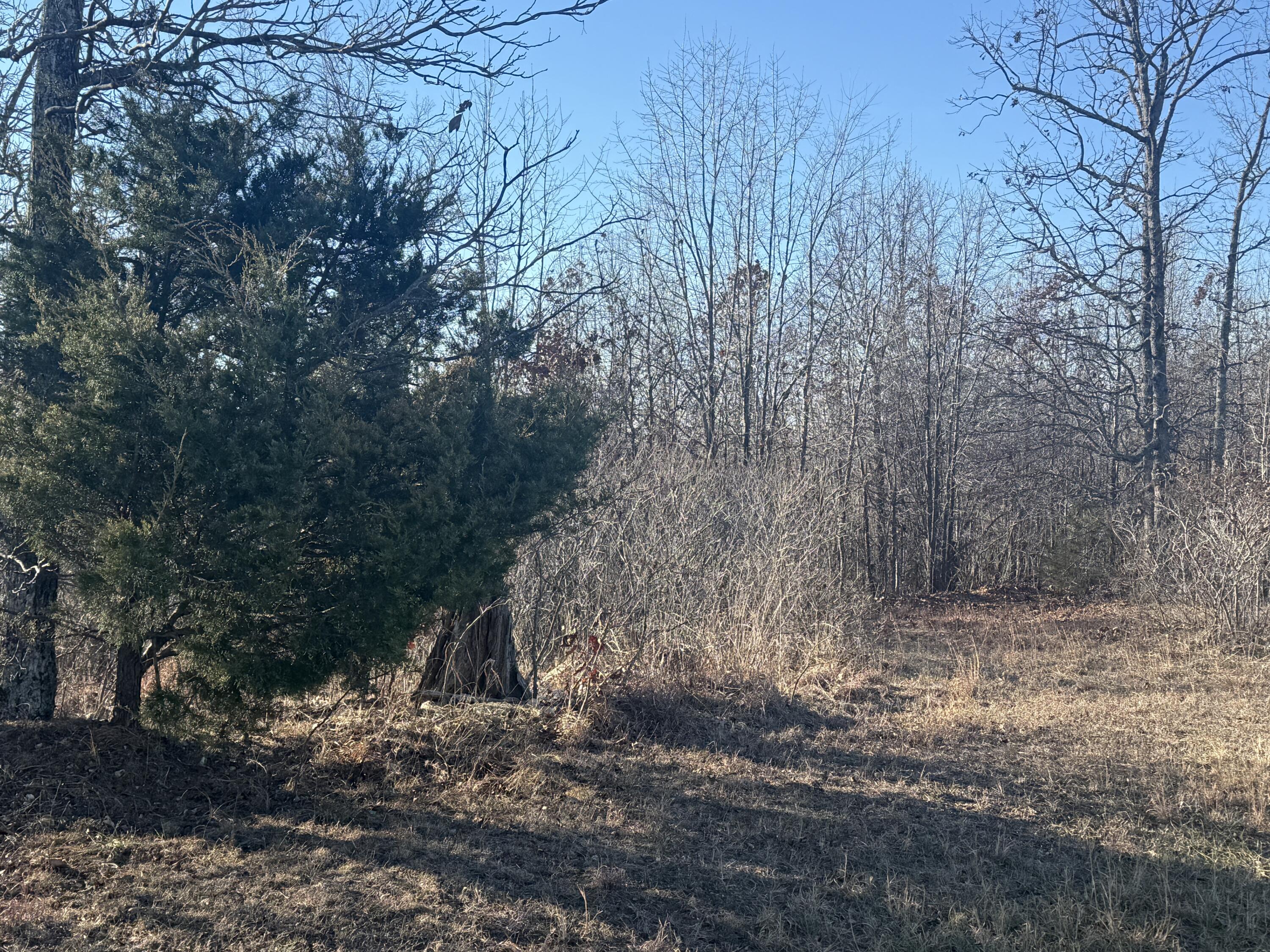 Photo 5 - Land for sale – 000  Highway U   Cabool, MO