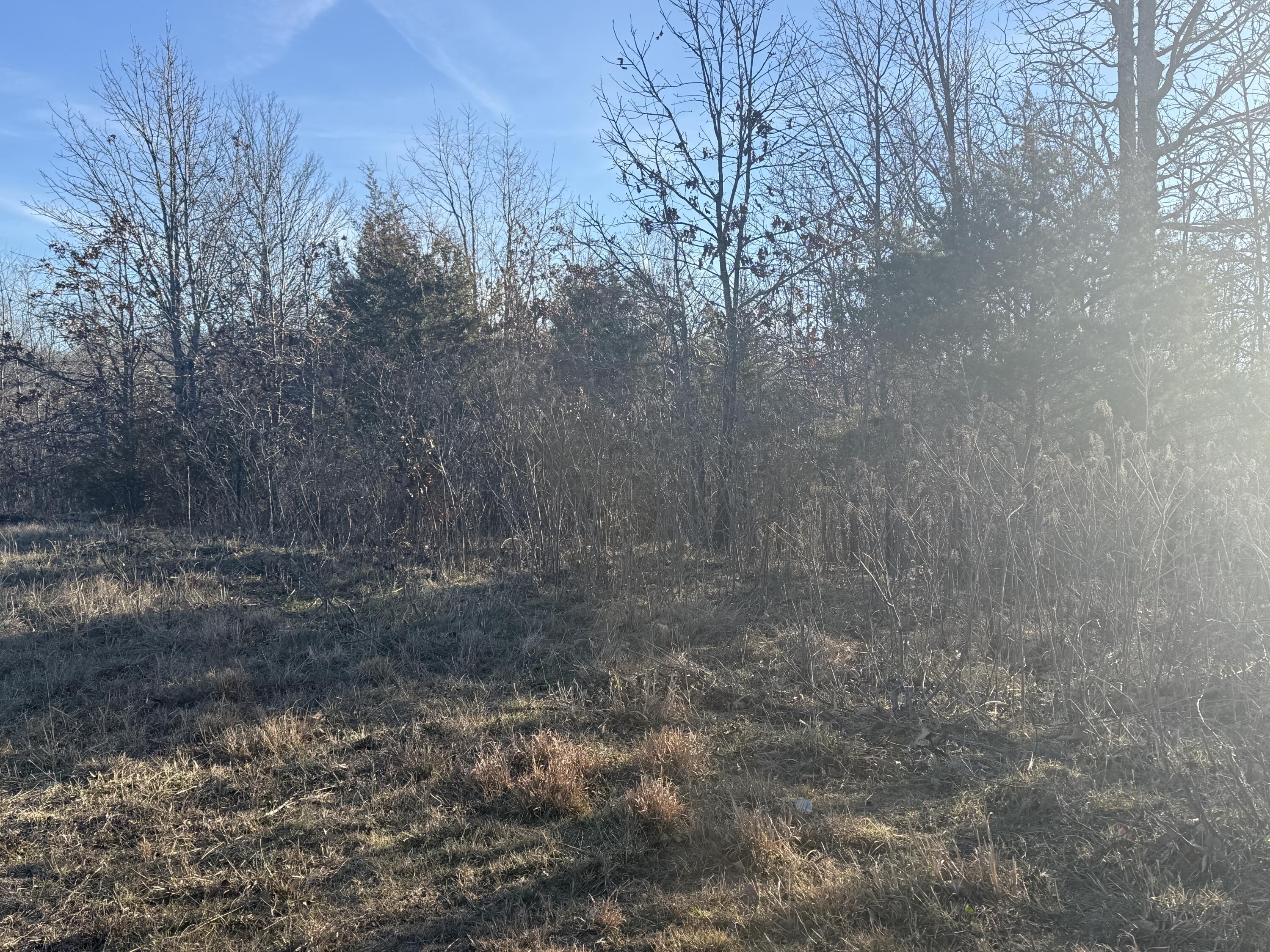 Photo 4 - Land for sale – 000  Highway U   Cabool, MO