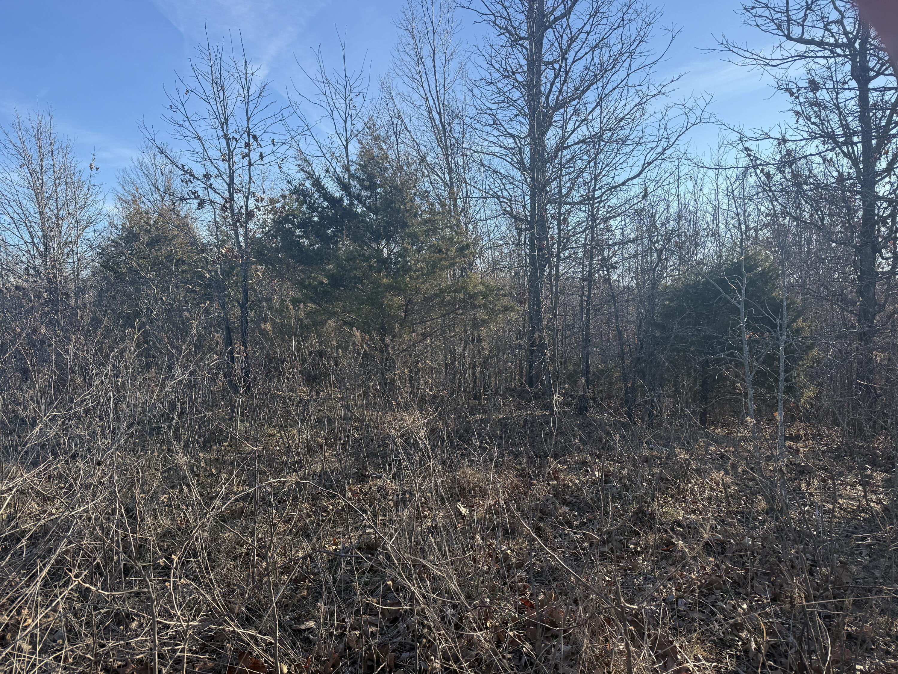 Photo 3 - Land for sale – 000  Highway U   Cabool, MO