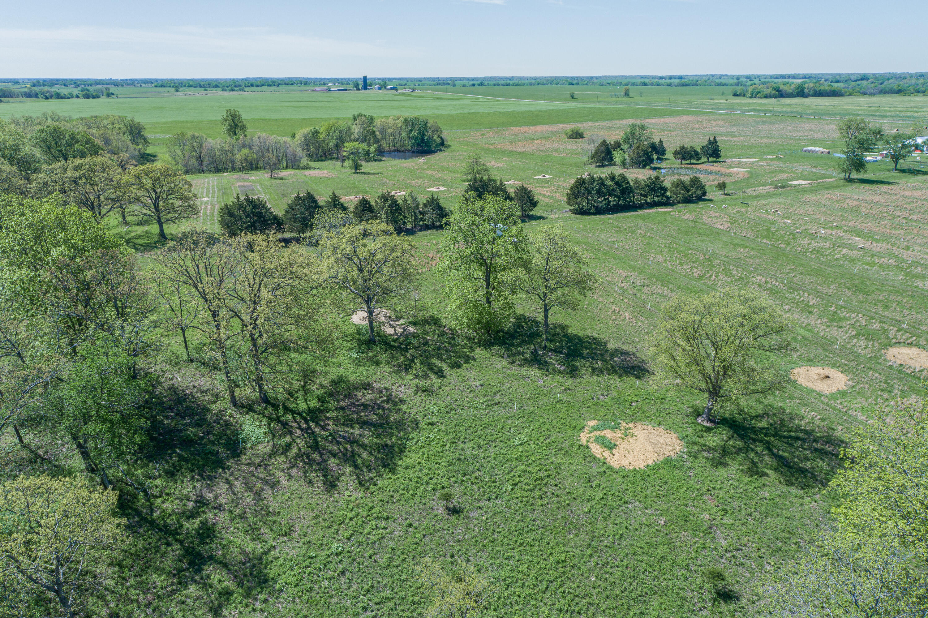 Photo 57 - Farm for sale – 15959  County Road 121   Weaubleau, MO