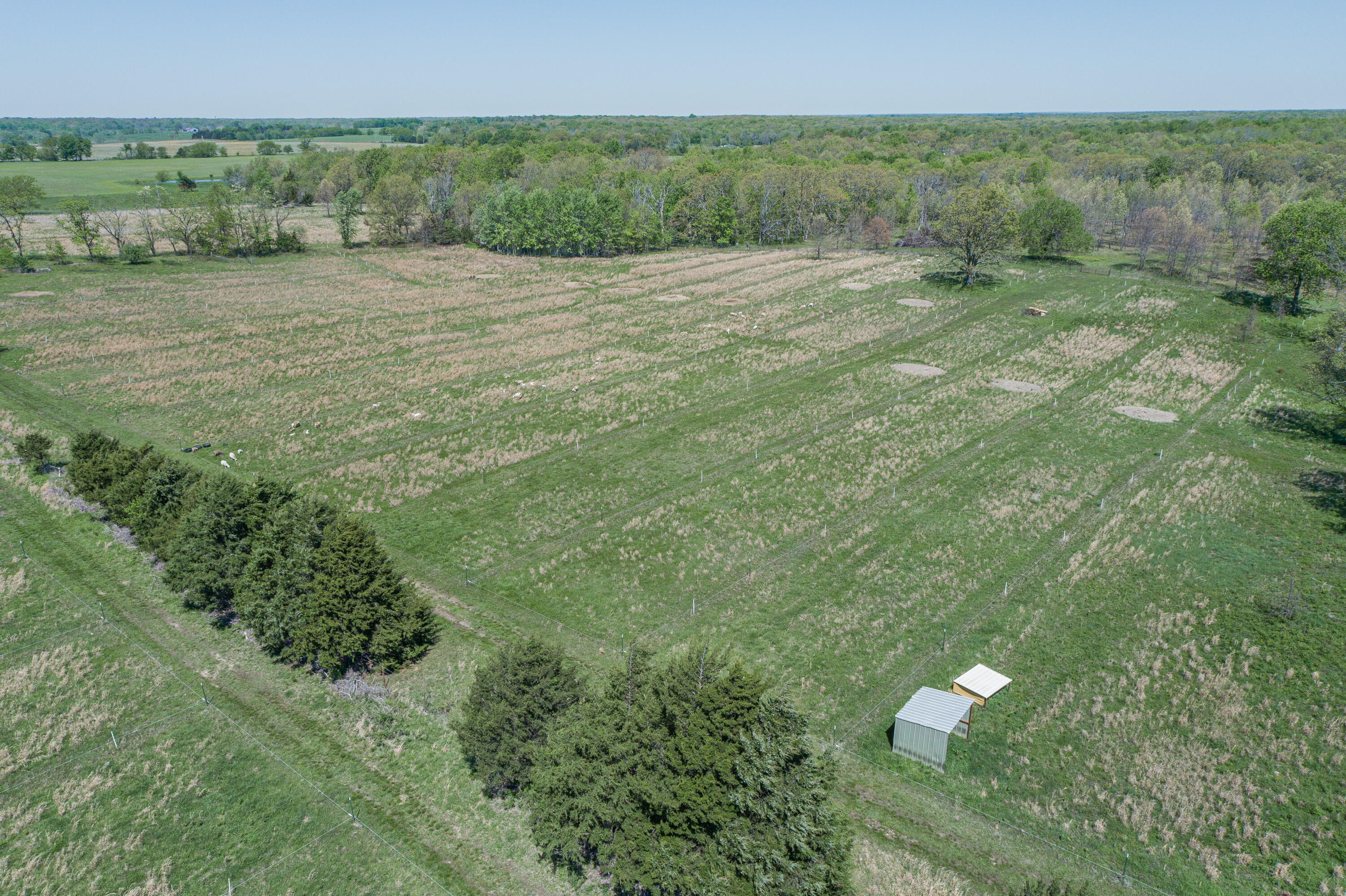 Photo 52 - Farm for sale – 15959  County Road 121   Weaubleau, MO