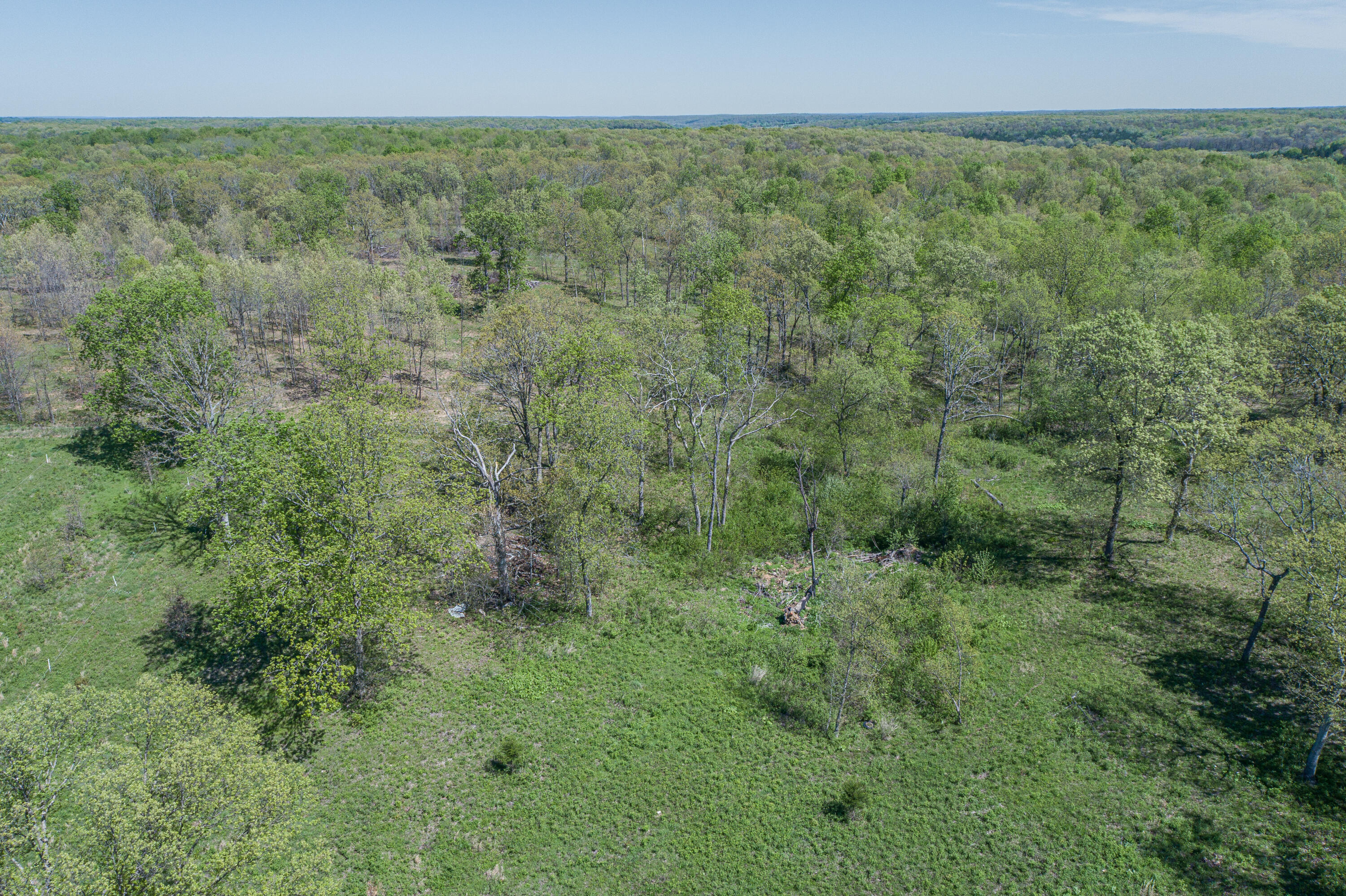 Photo 54 - Farm for sale – 15959  County Road 121   Weaubleau, MO
