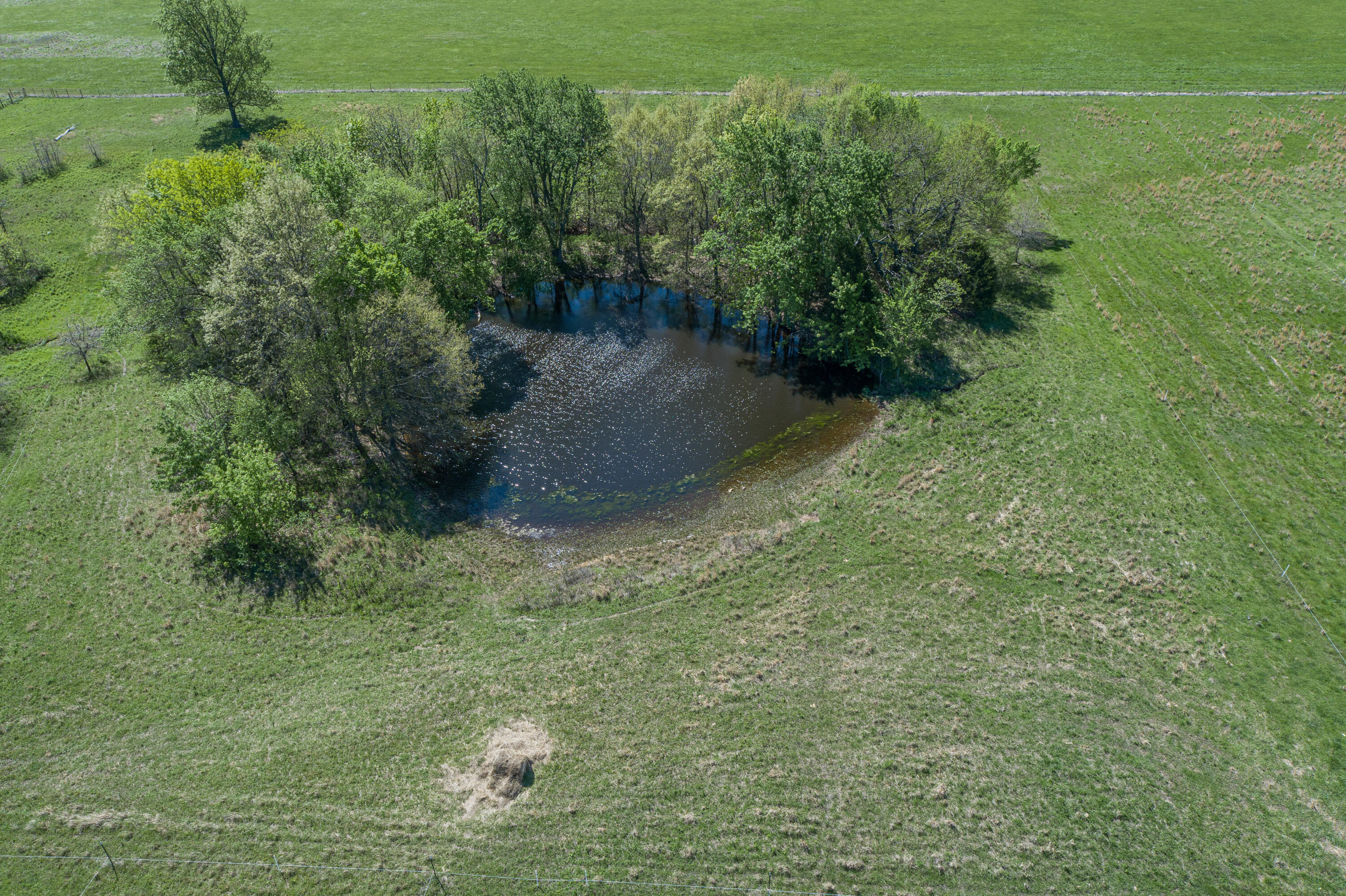 Photo 49 - Farm for sale – 15959  County Road 121   Weaubleau, MO