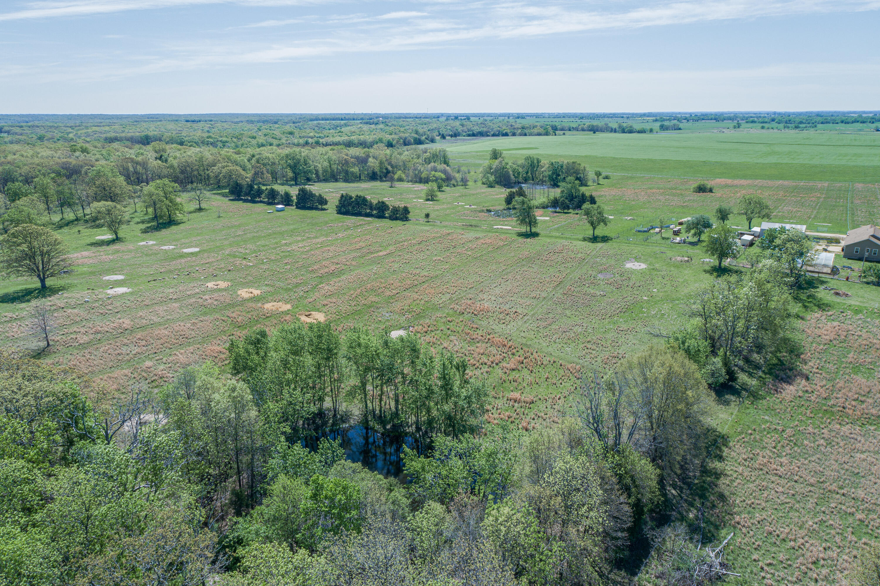 Photo 63 - Farm for sale – 15959  County Road 121   Weaubleau, MO